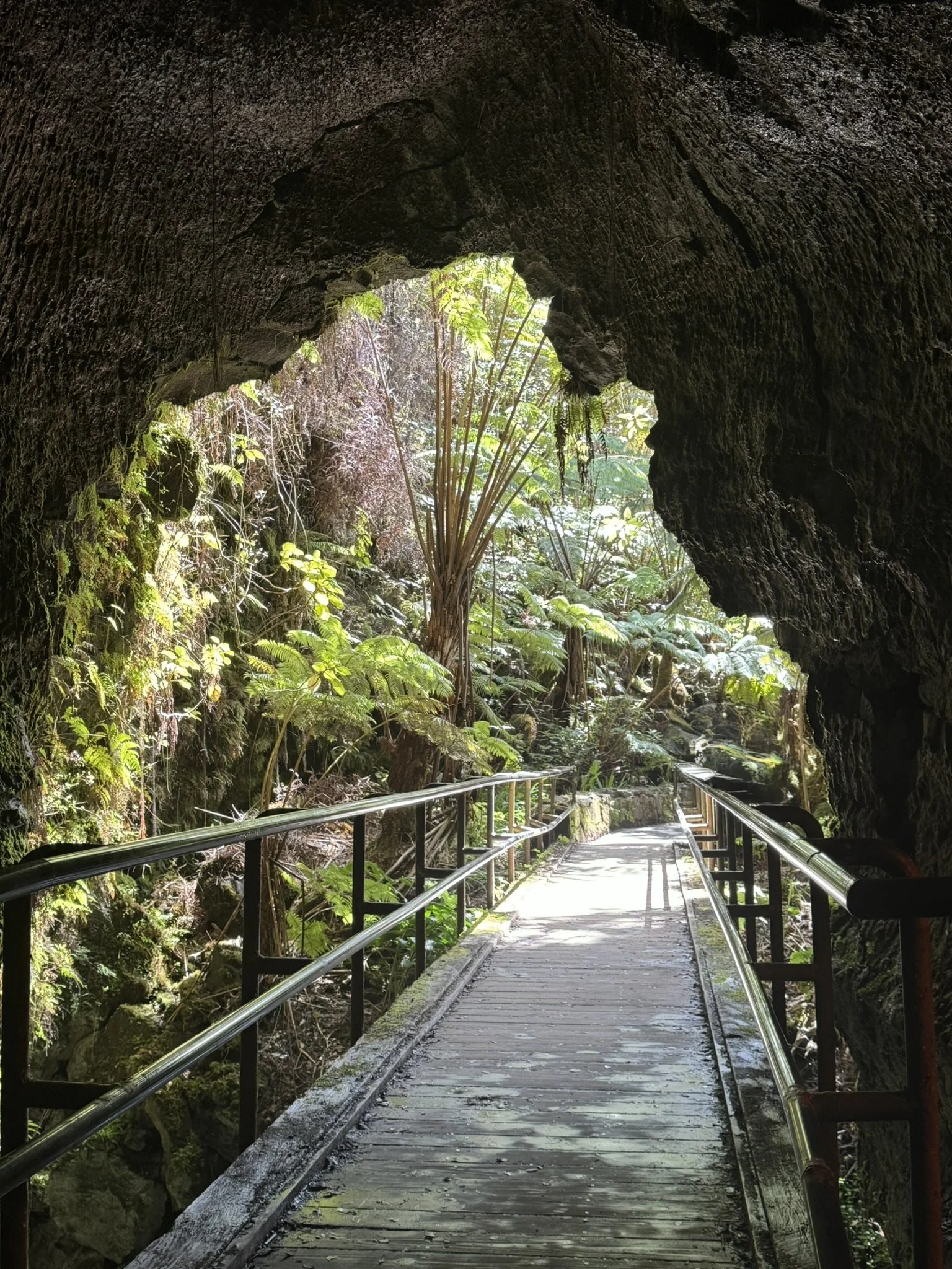 Thurston Lava Tube