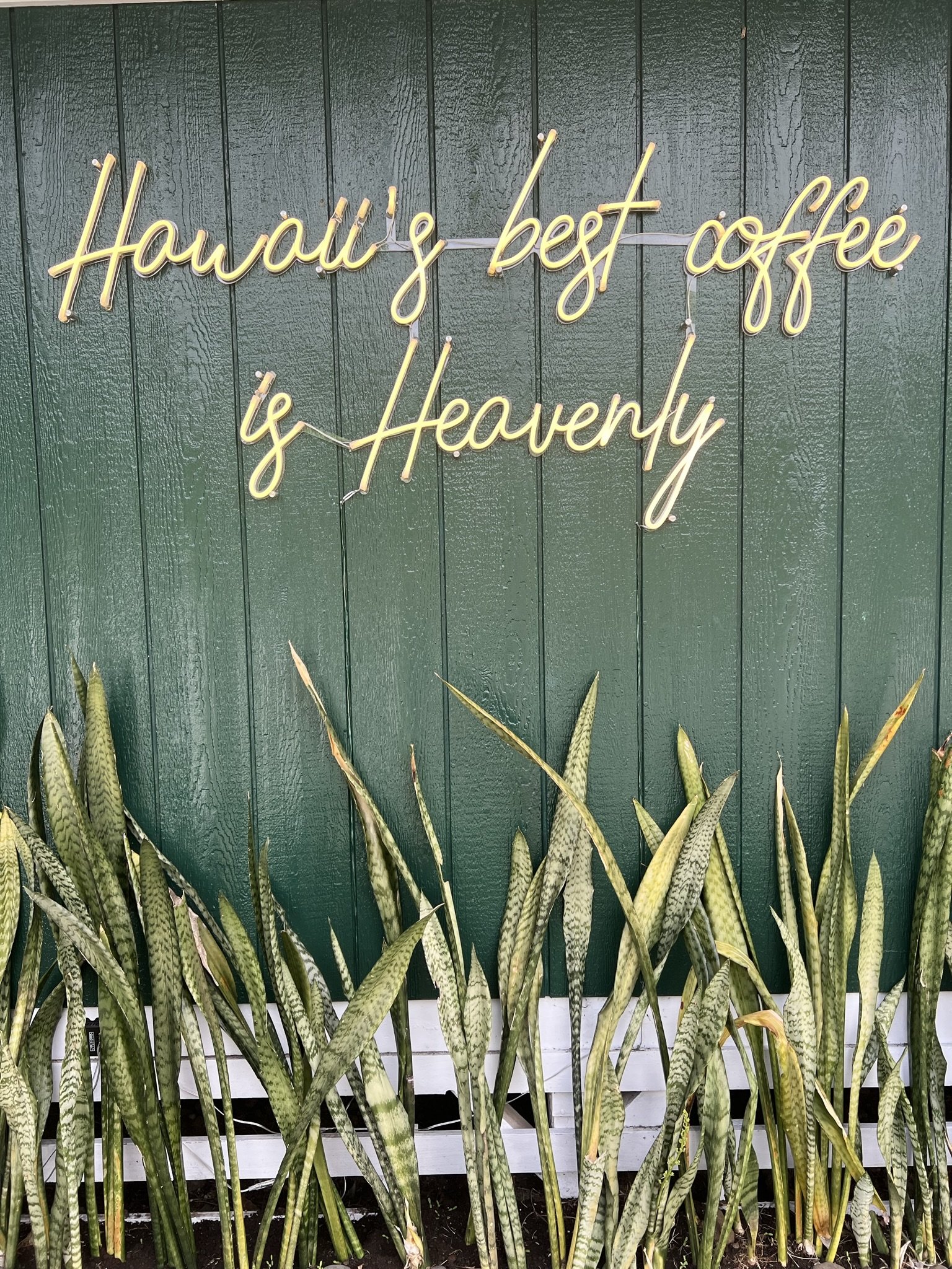 Heavenly Hawaiian Coffee Farm