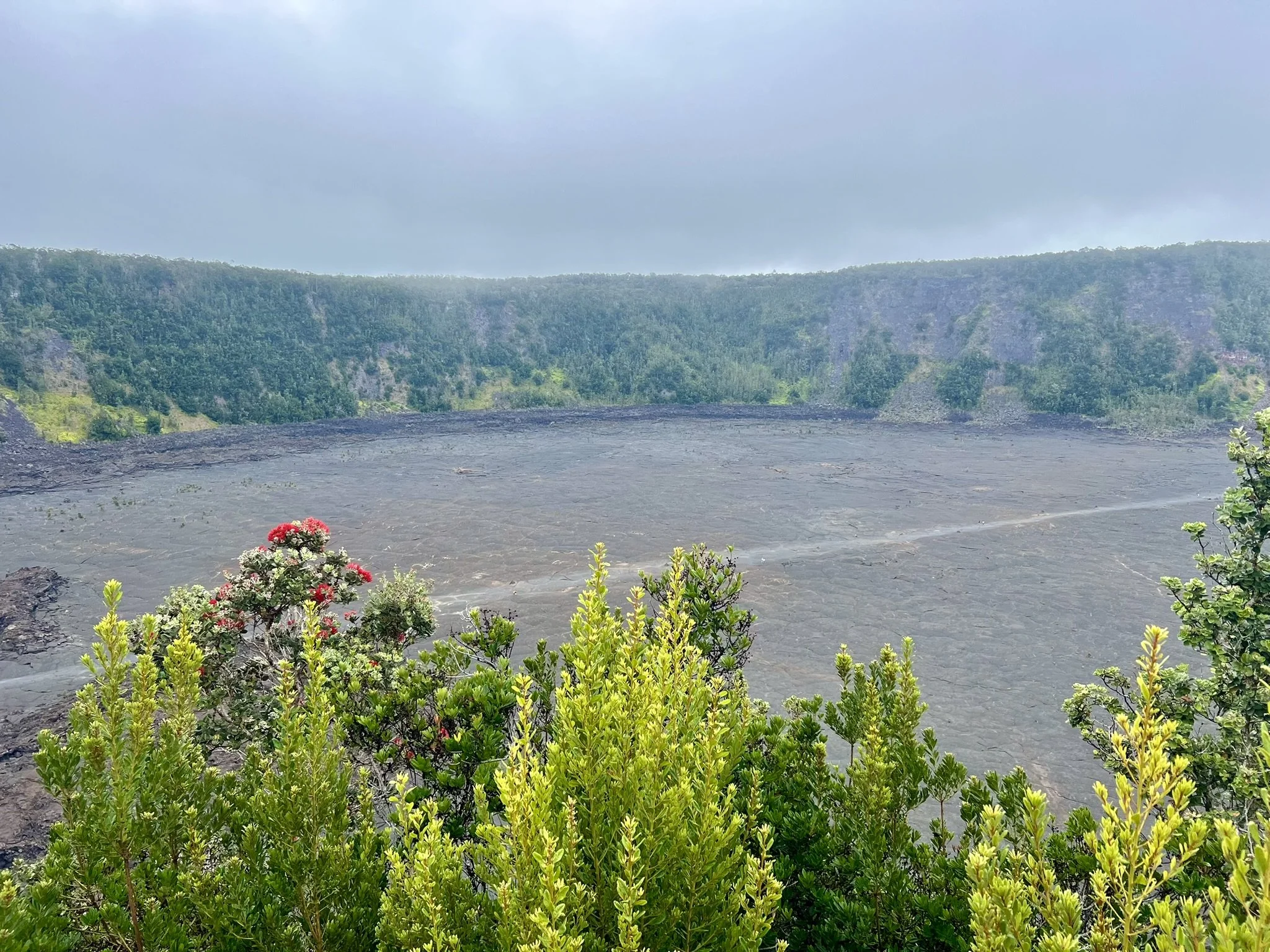 Kilauea Iki Overlook