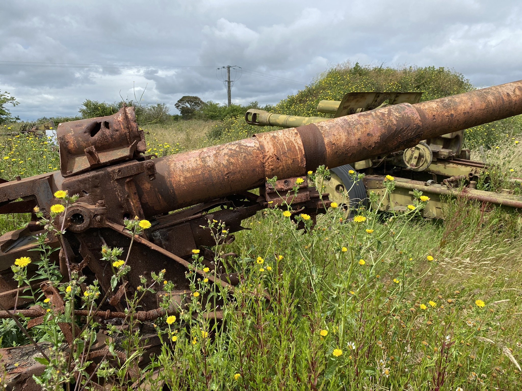 Maisy Battery artillery