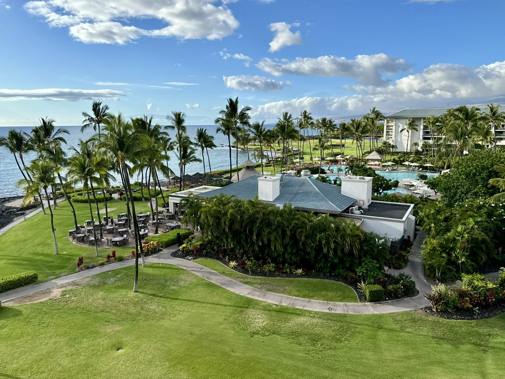 Spotlight: Swimming With Sea Turtles  - Why the Fairmont Orchid Became Our Hawaiian Happy Place