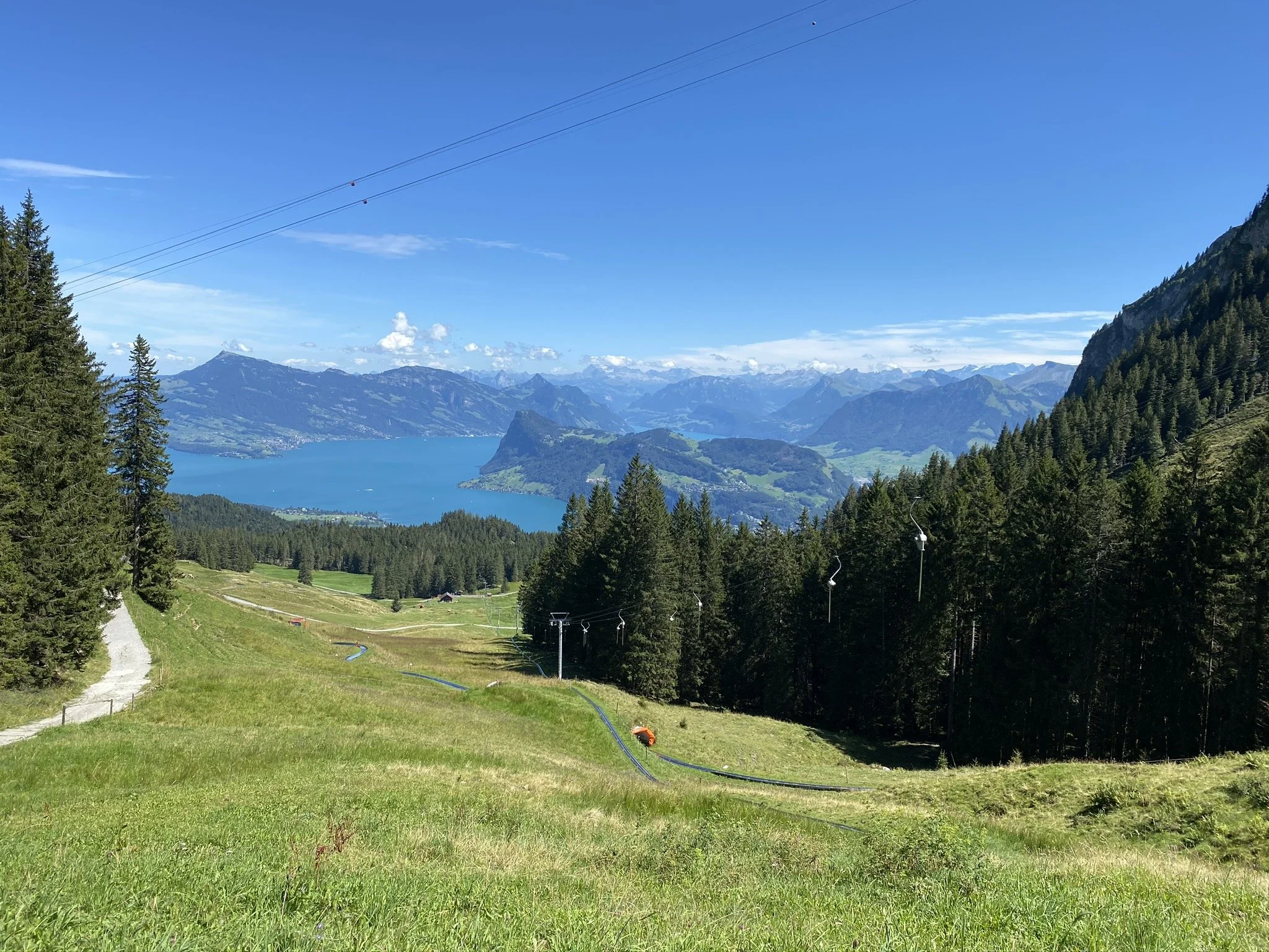 IMG_1850.JPEG