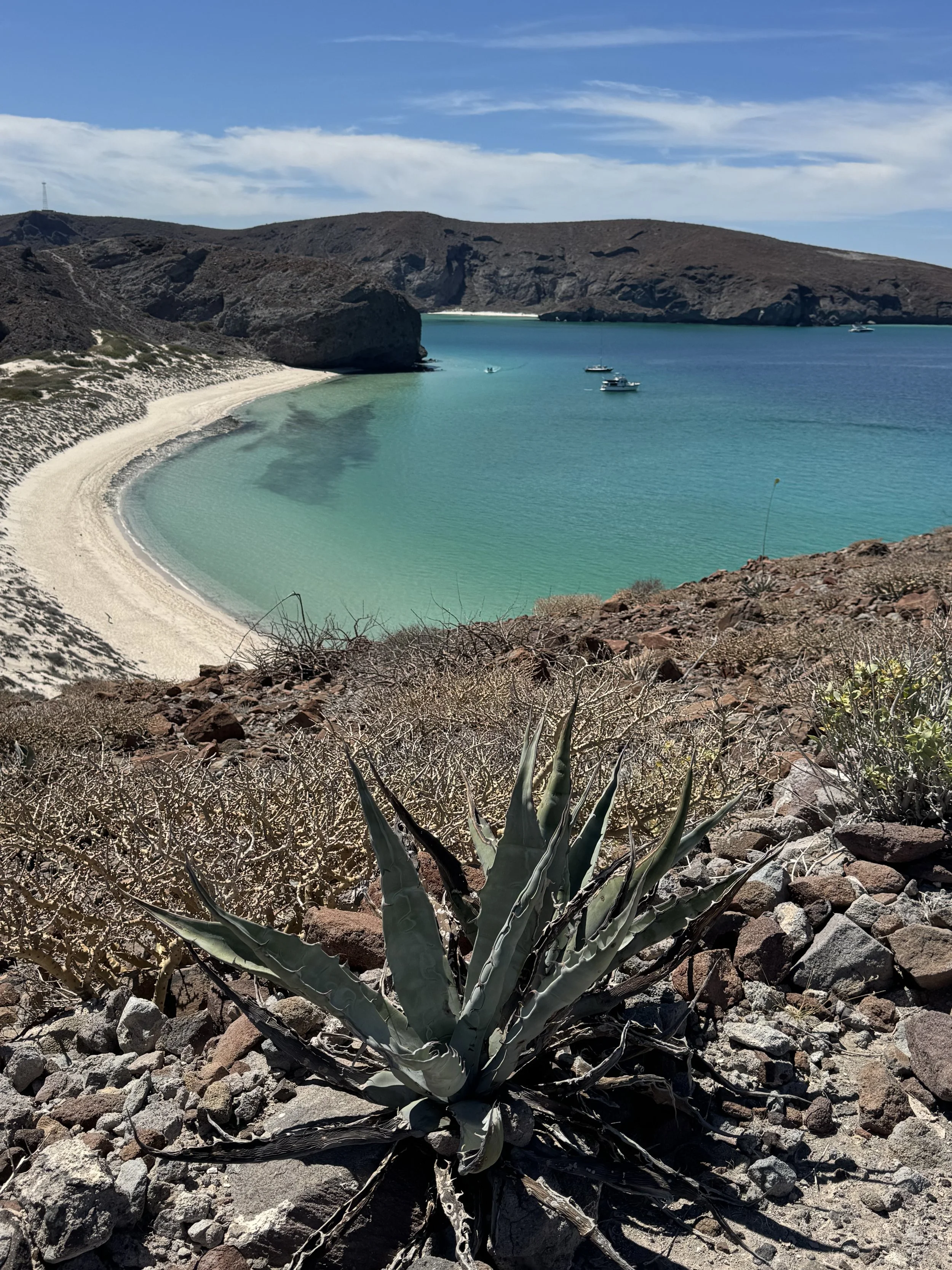 12 Reasons to Visit La Paz, Mexico (That Have Nothing to Do with Cabo)