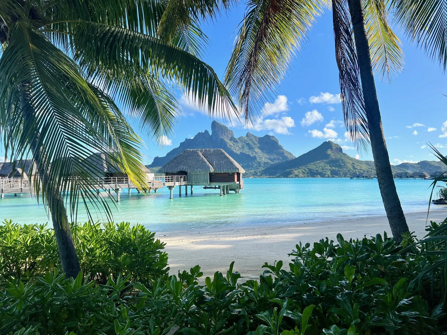 How to Find and Choose your next Travel Adventure — Broken Wheel Adventures