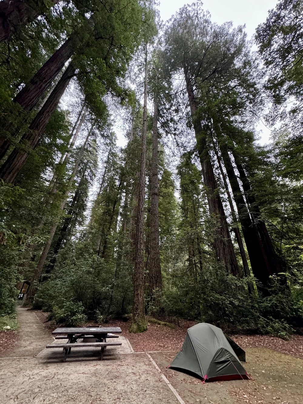    Jedediah Smith Campground  , Jedediah Smith Redwoods State Park, California, USA 