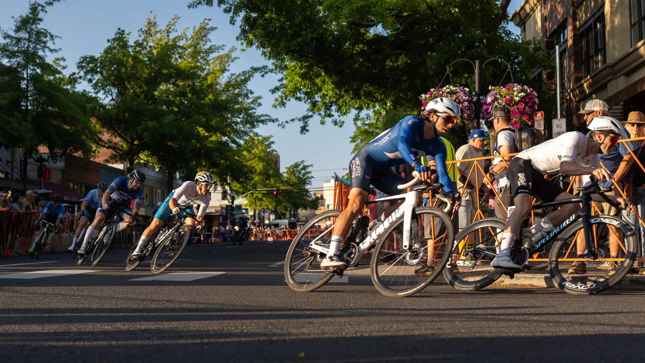 A7304994.jpg