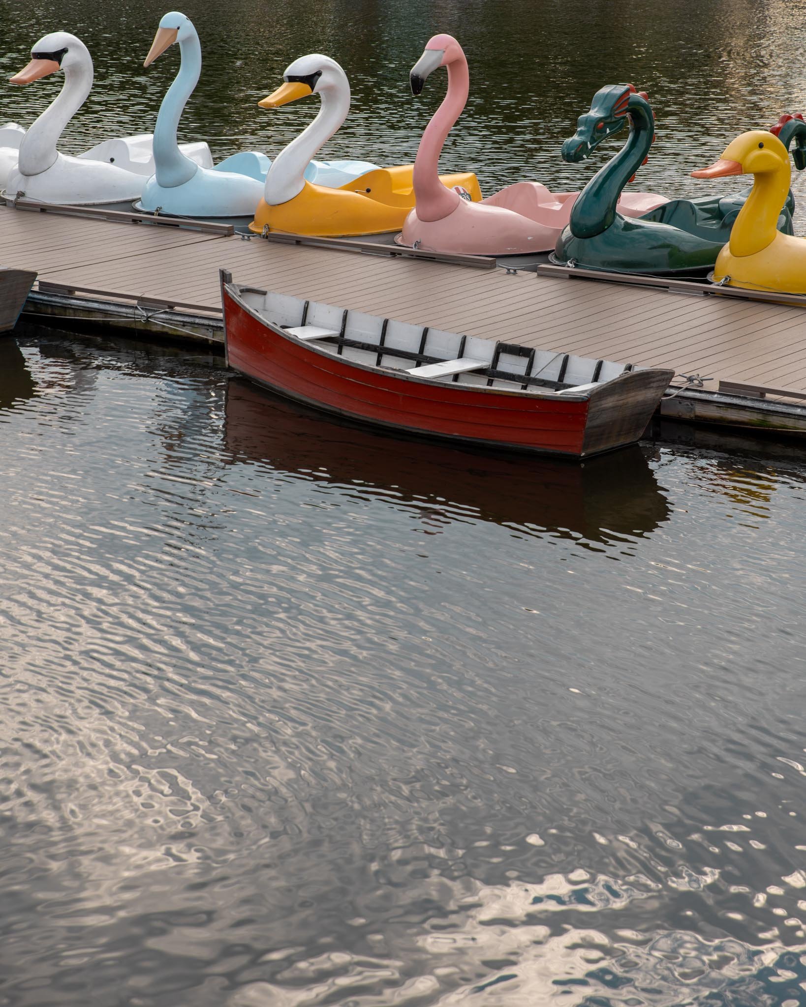 20220919-DSC07873.jpg
