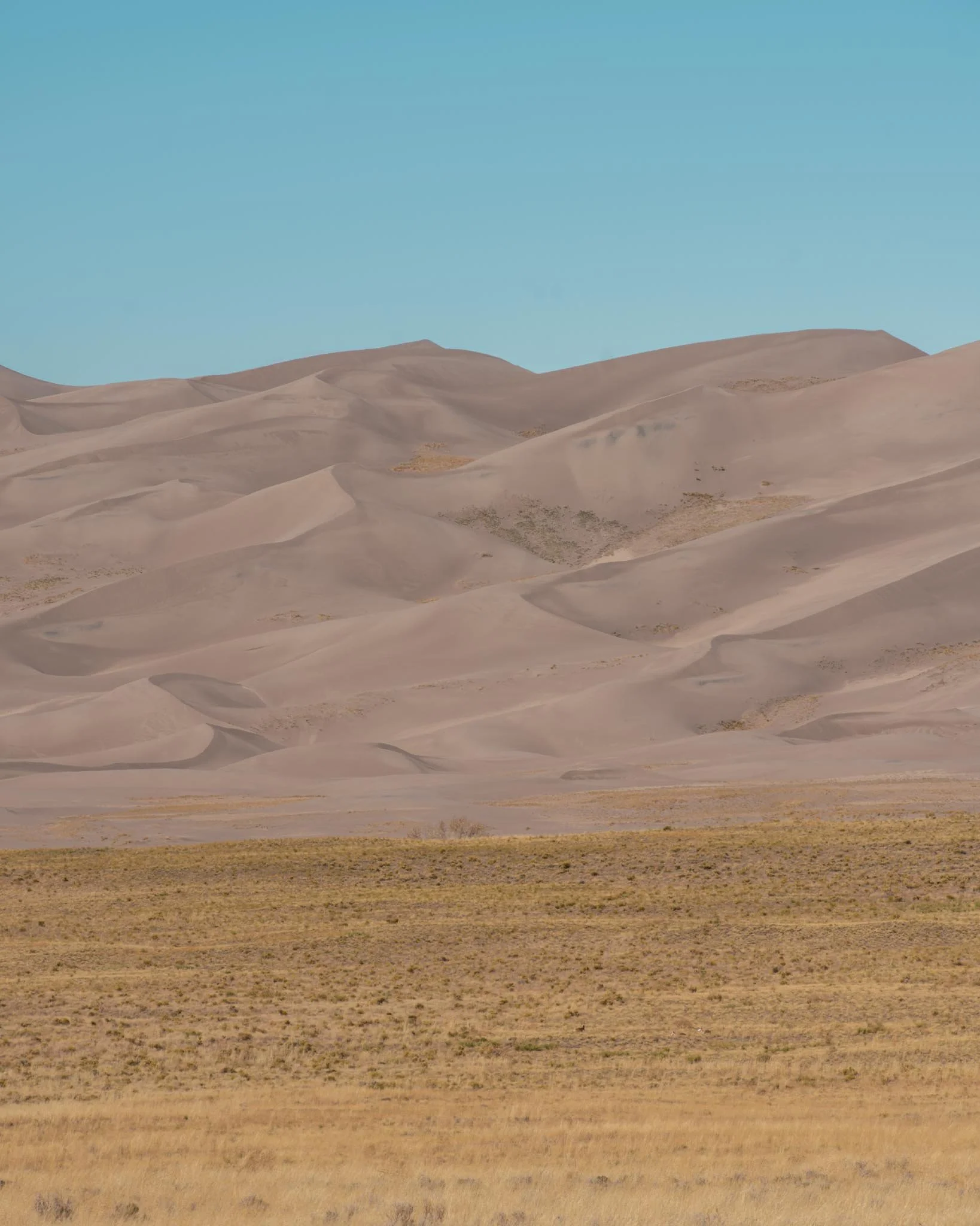 20221025-_DSC2740.jpg