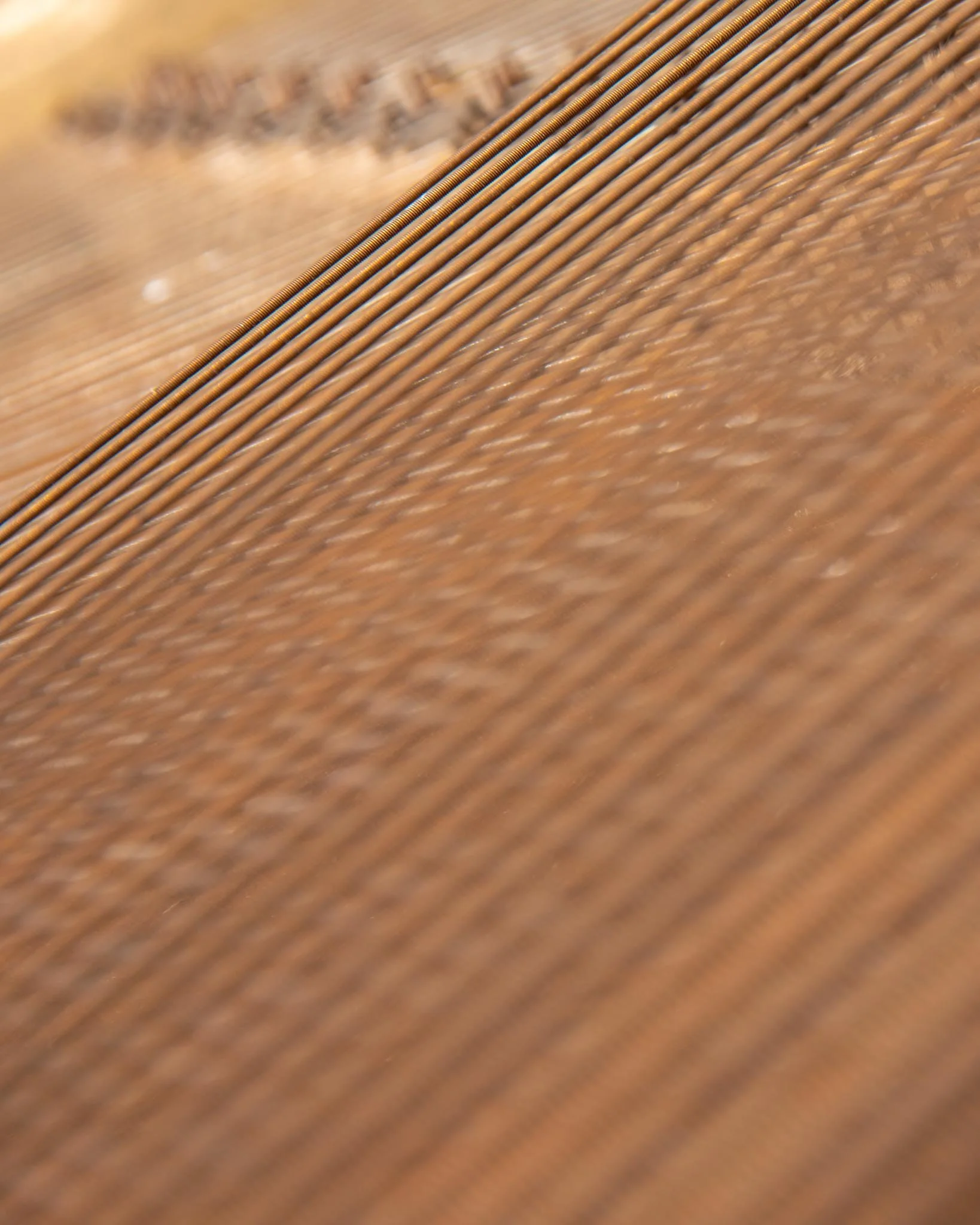 20230413-_DSC3922.jpg
