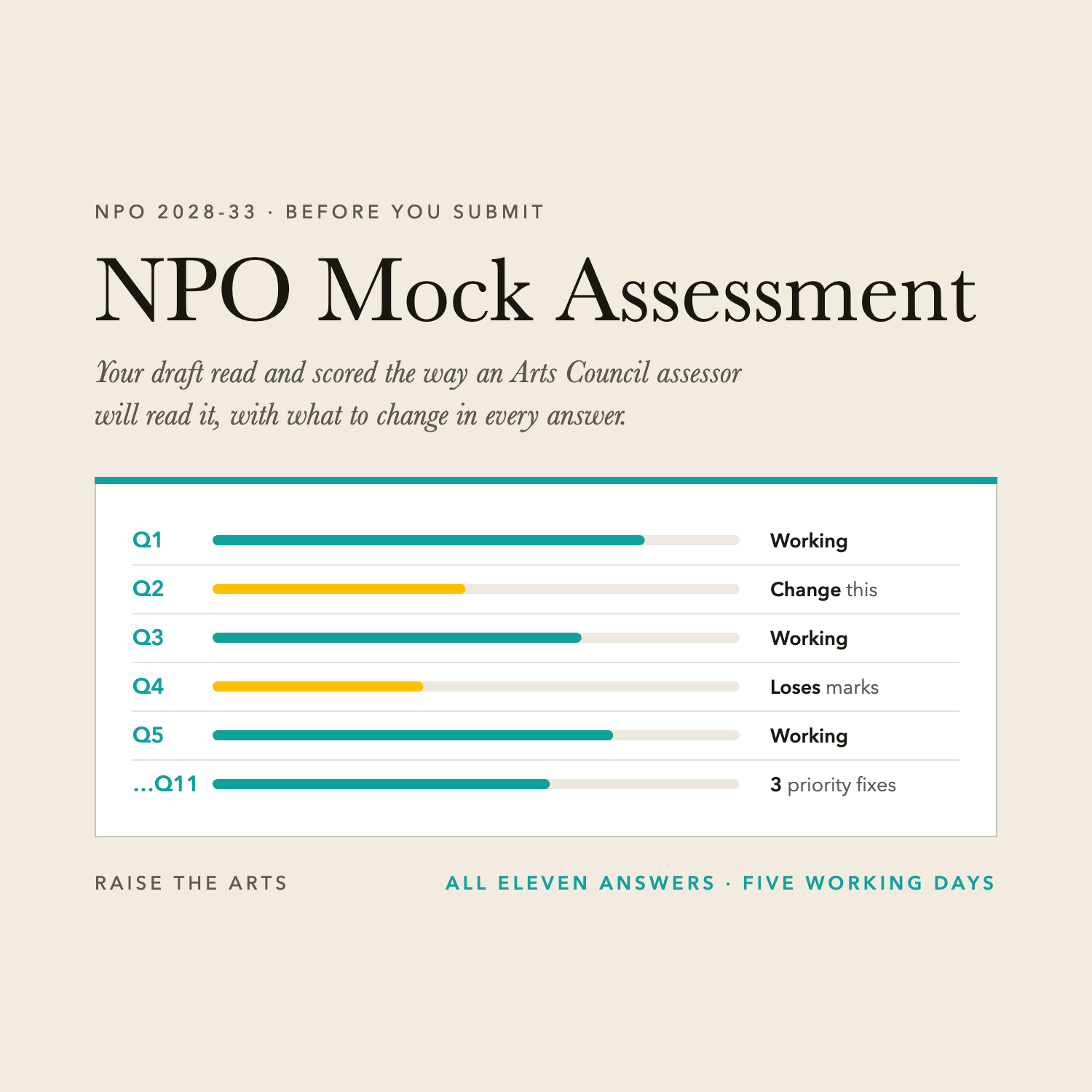 NPO-Mock-Assessment.png