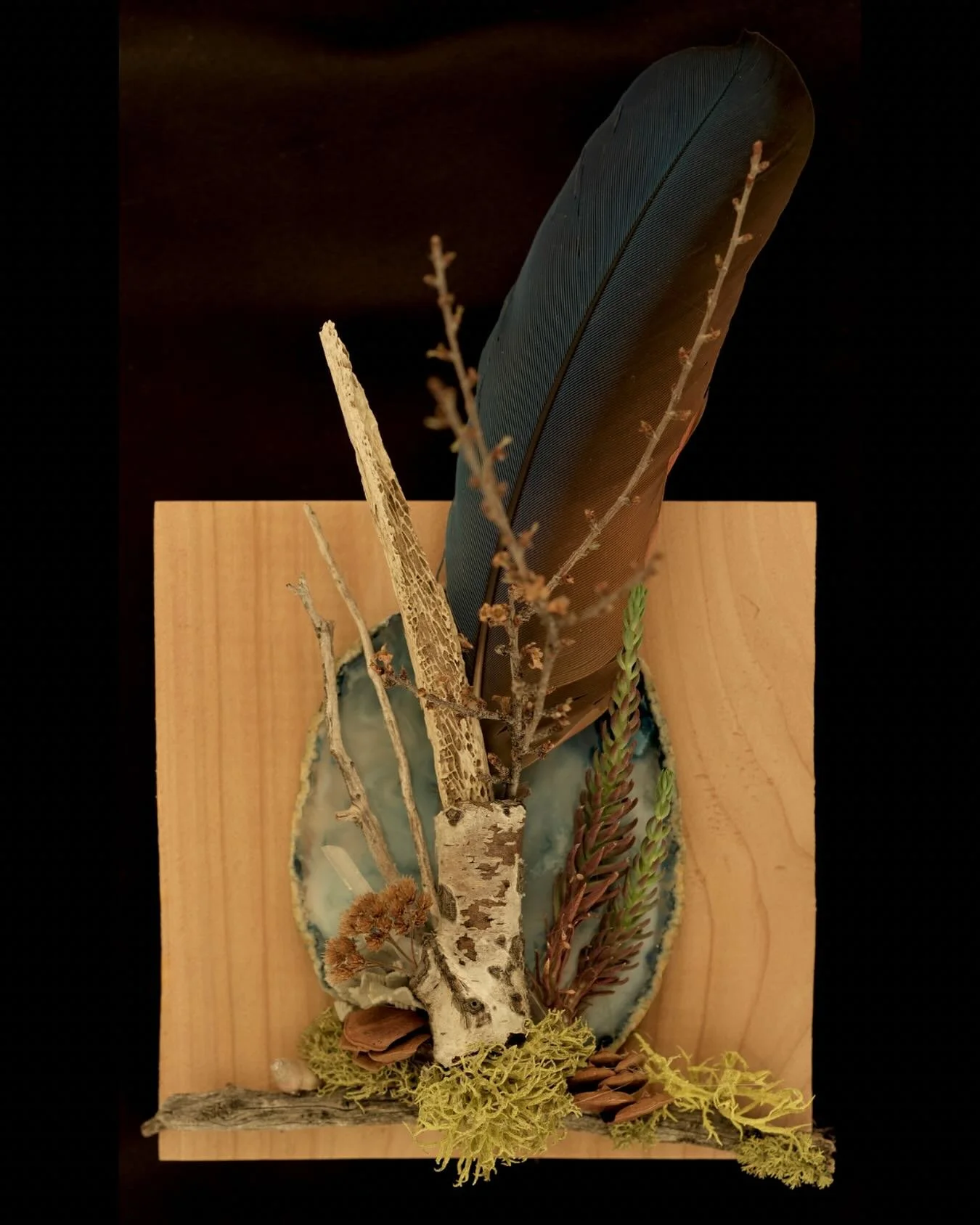 &ldquo;Altar of Inner Echoes

A convergence of voice, memory, and stillness. Blue agate and jay feather speak to truth with clarity, while aspen and bone root that truth in ancestral knowing. Lichen, wood, and shell soften the edges, teaching that wi