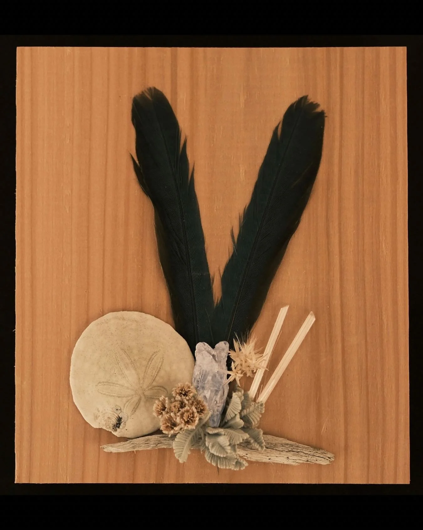 &ldquo;Altar of Dual Planes&rdquo;

A meeting place between seen and unseen.
Blue jay feathers bridge sky and shadow.
Kyanite and selenite clear the path for truth between realms.
The sand dollar whispers oceanic codes, lamb&rsquo;s ear softens the v