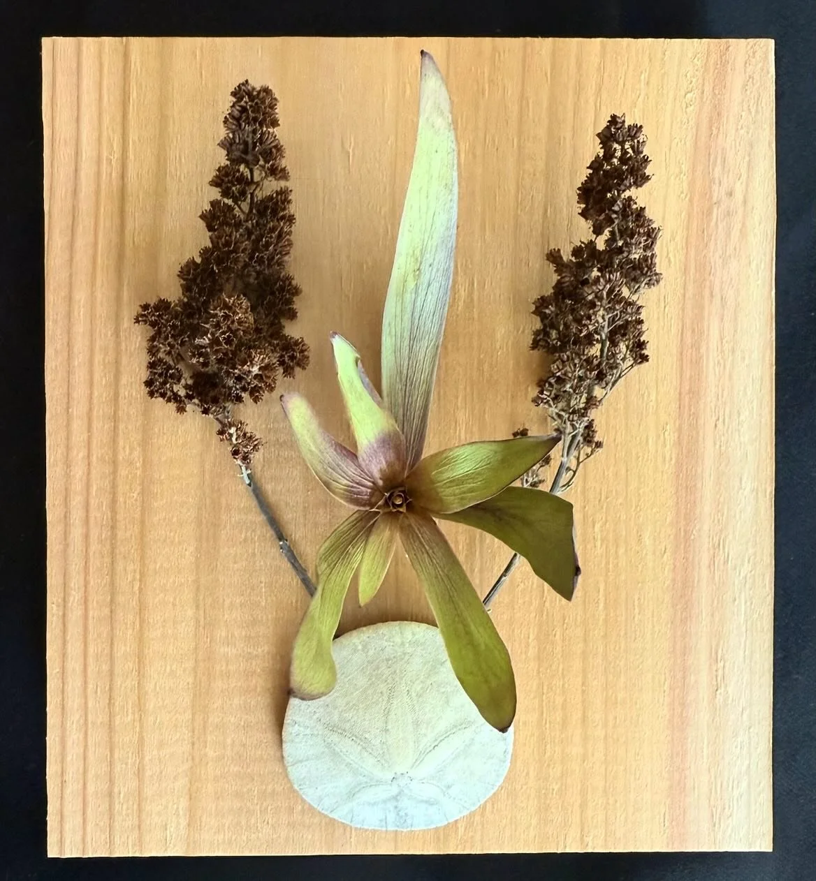 &ldquo;Altar of the Feminine&rdquo;

Soft and elegant in form, this altar mirrors the energy of the yoni- open, receptive, and powerful. Beneath its delicate arrangement lives the depth of the feminine shadow, quietly holding mystery, intuition, and 