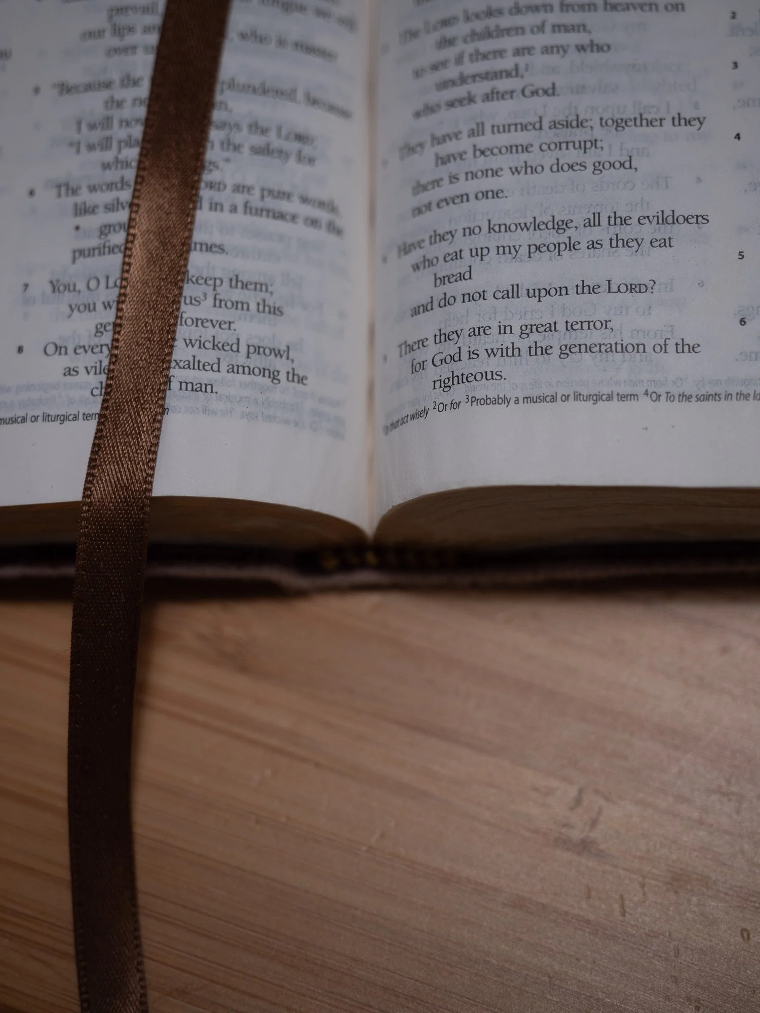 psalm-14 b-077.jpg