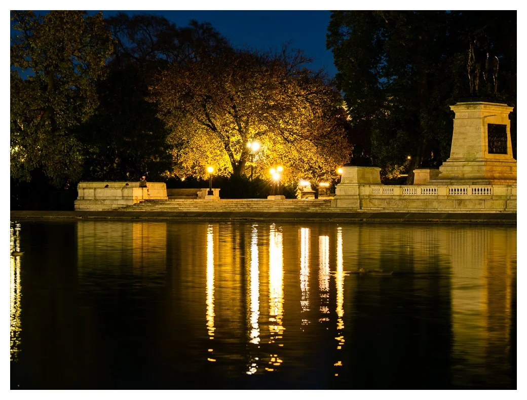 Beneath the yellow elm.jpg