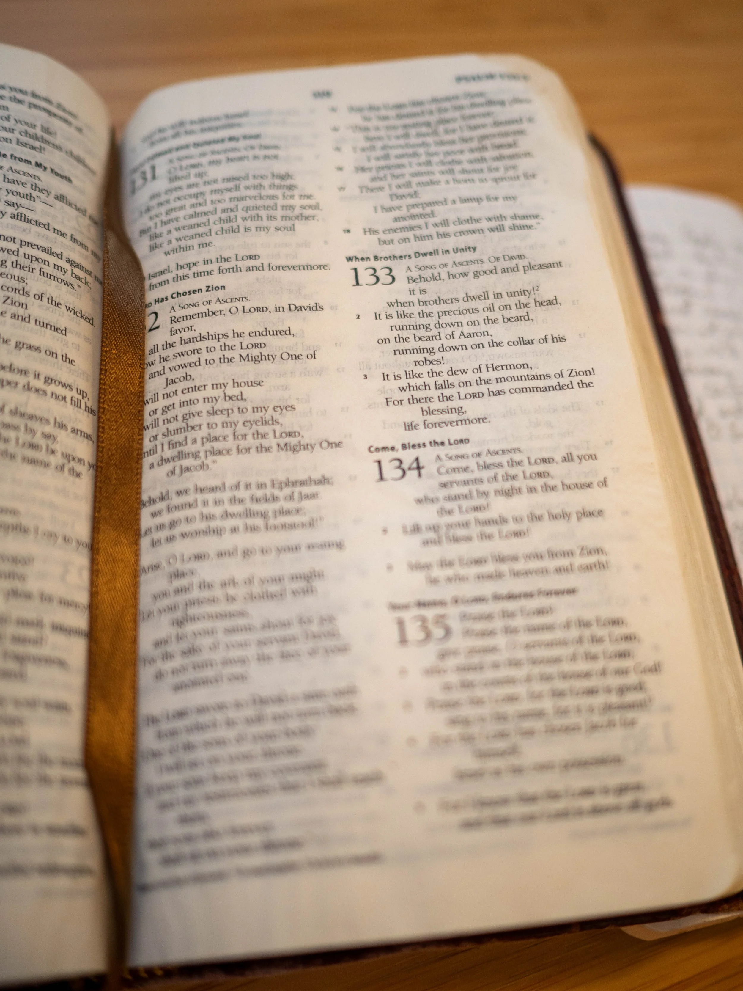 psalm-132-133.jpg