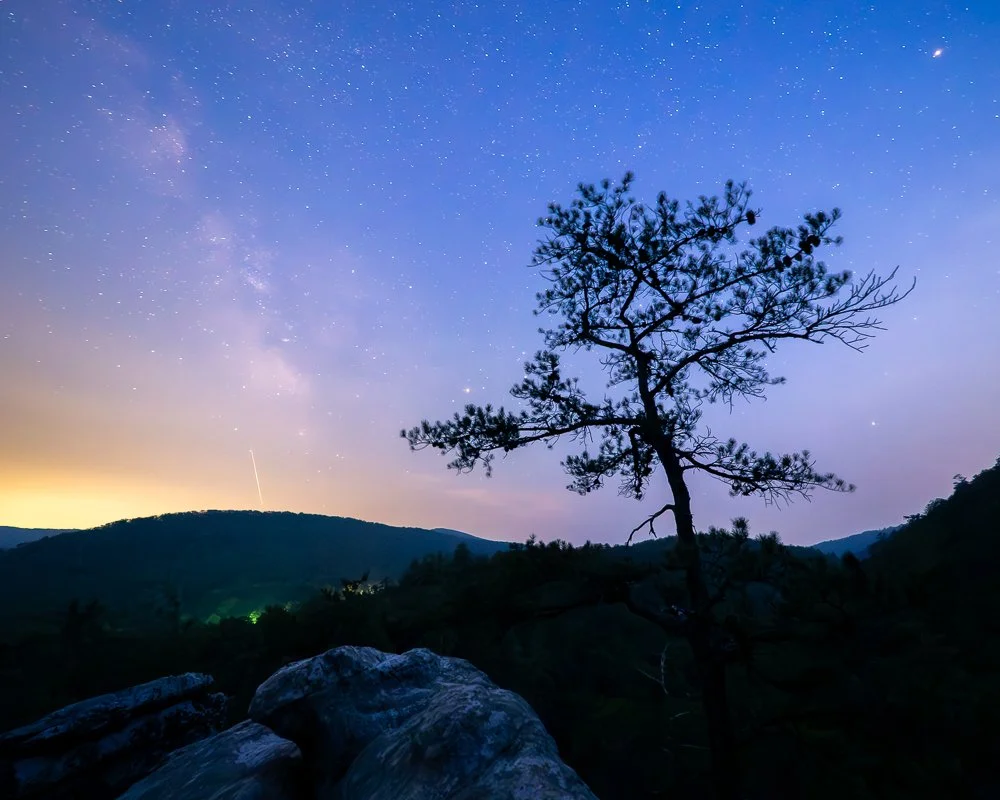hemlock-dusk-milkway-tree-1000.jpg