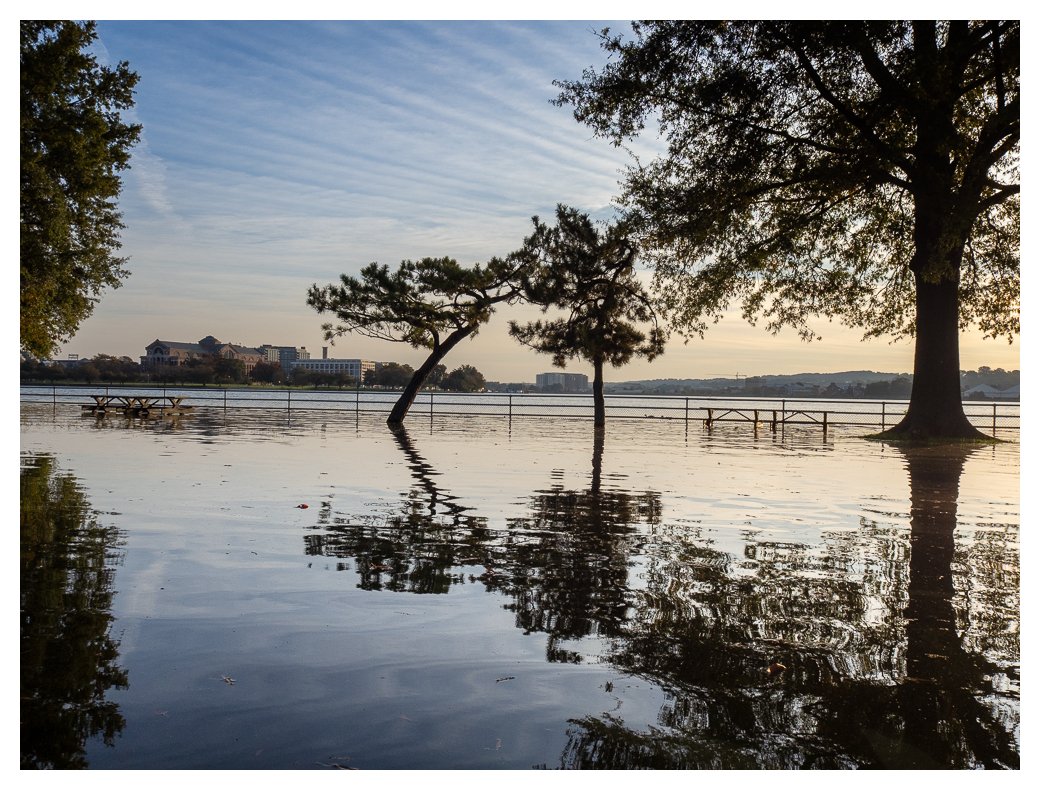 marathon-blog-post-20251019-Flooding at Hains Point.jpg