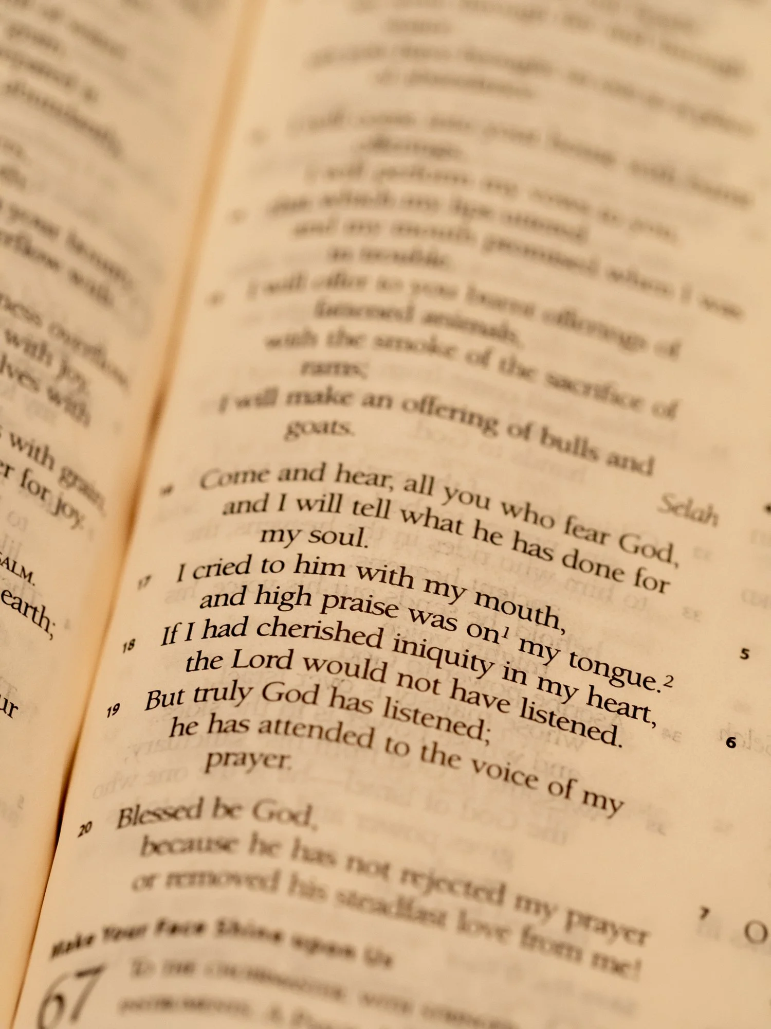 psalm-66-3.jpg