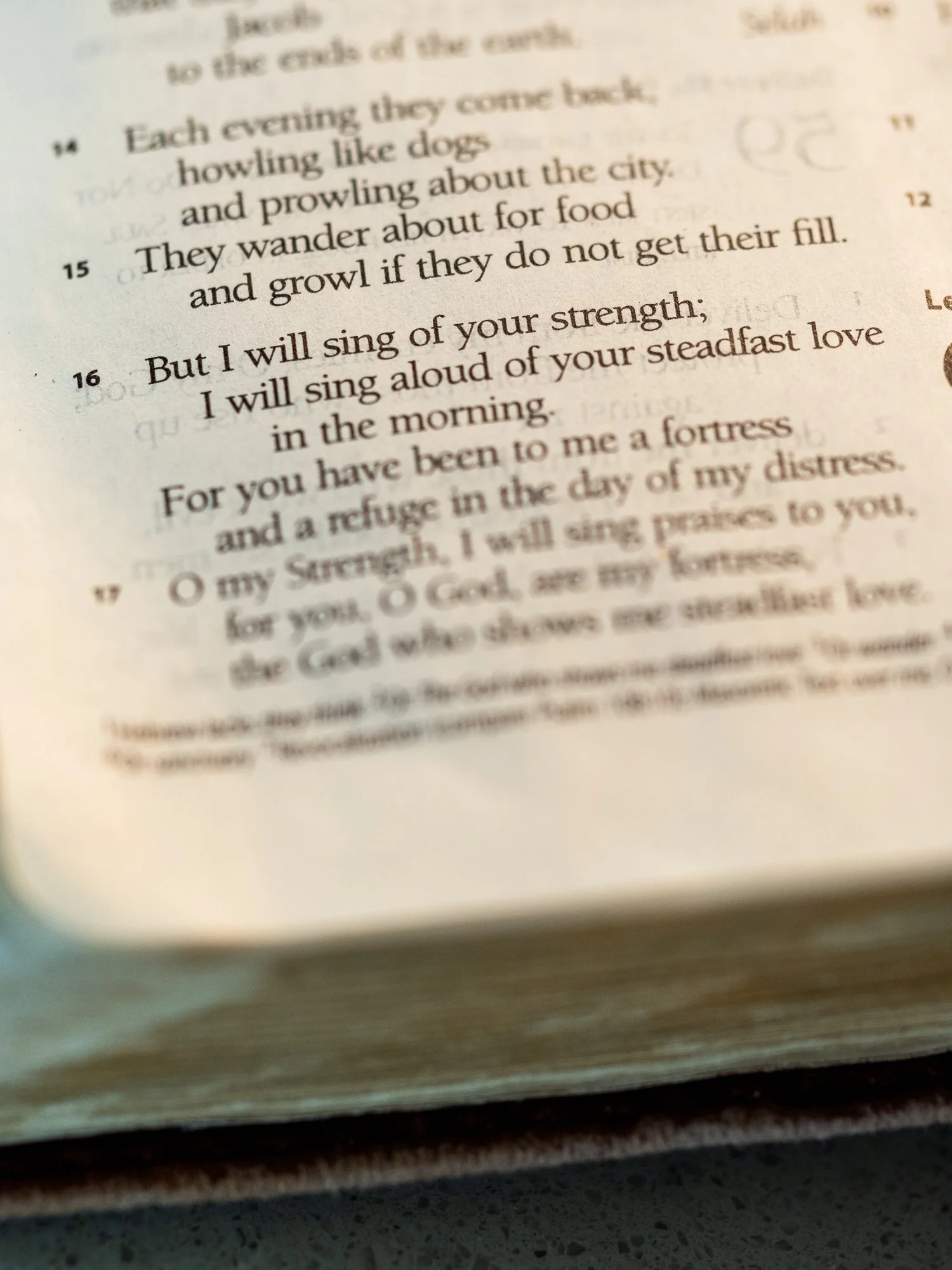 psalm-59-2.jpg
