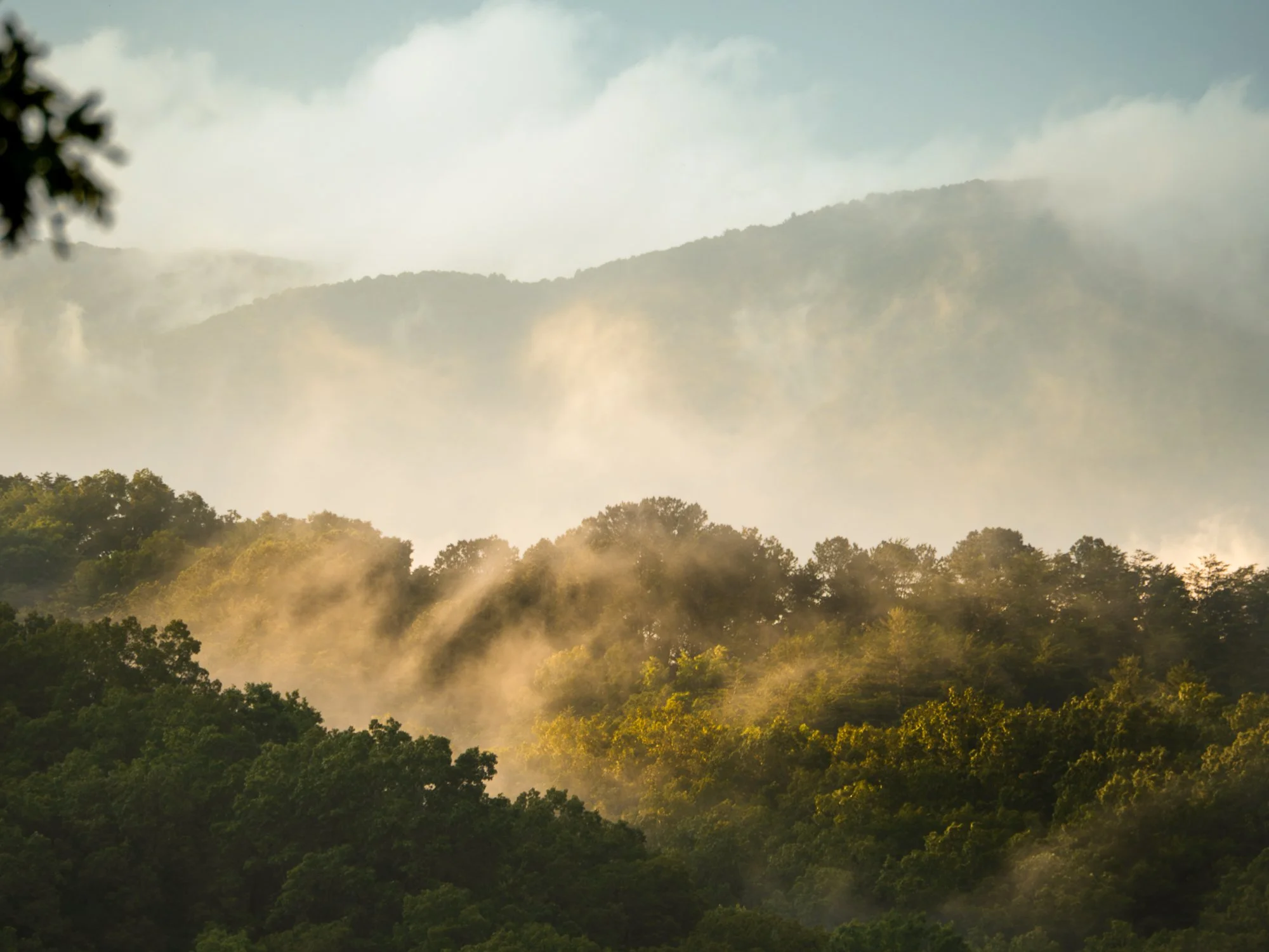 Misty Sunrise, Blue Ridge GA
