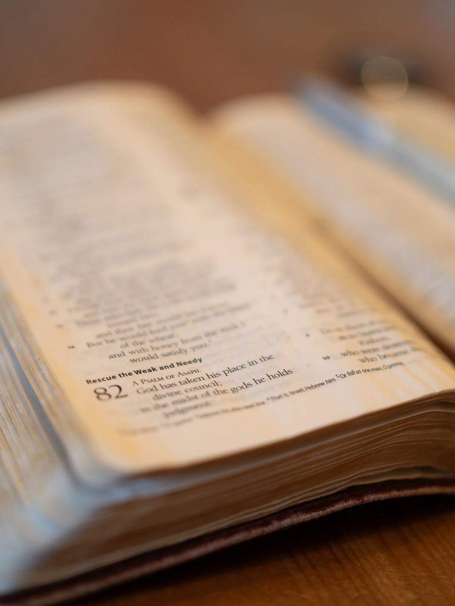 psalm-82-2.jpg