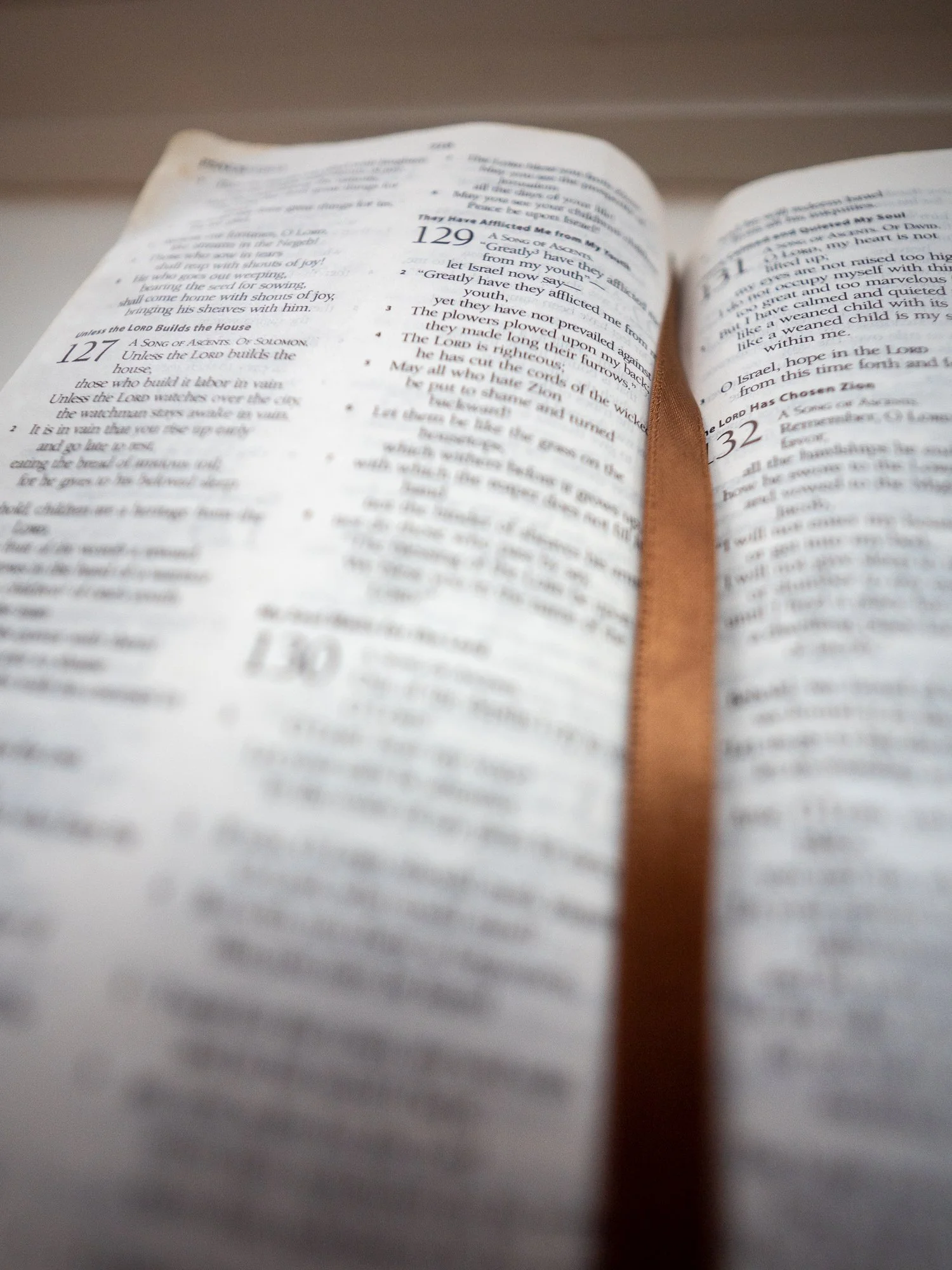 psalm-129.jpg