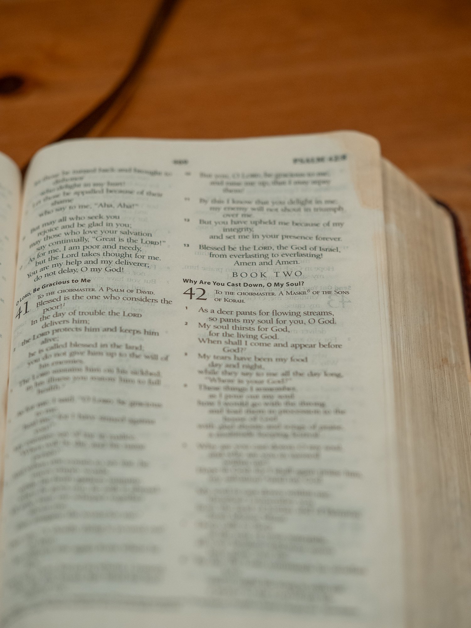 psalm-42-1.jpg