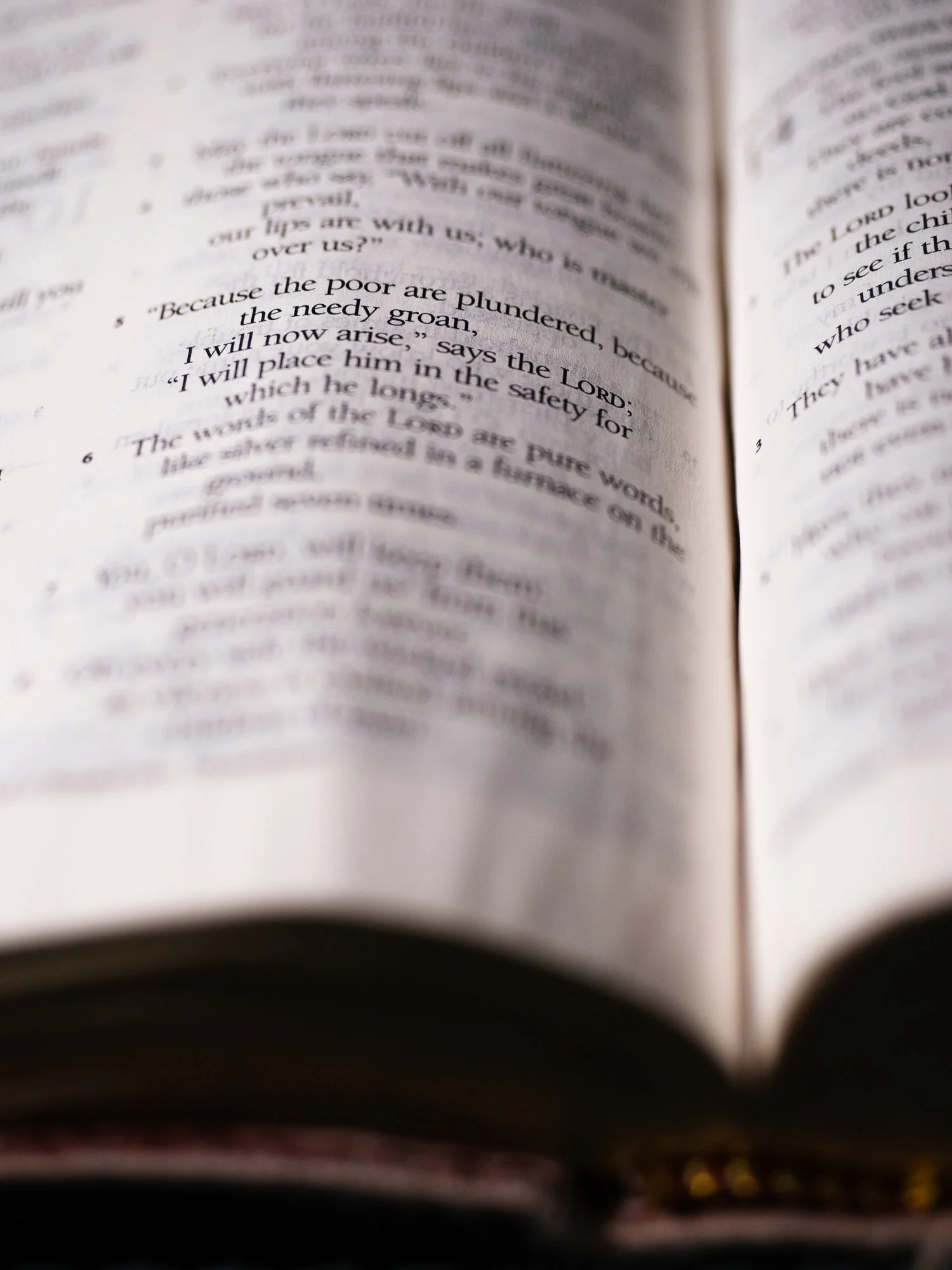 psalm-12 b-083.jpg