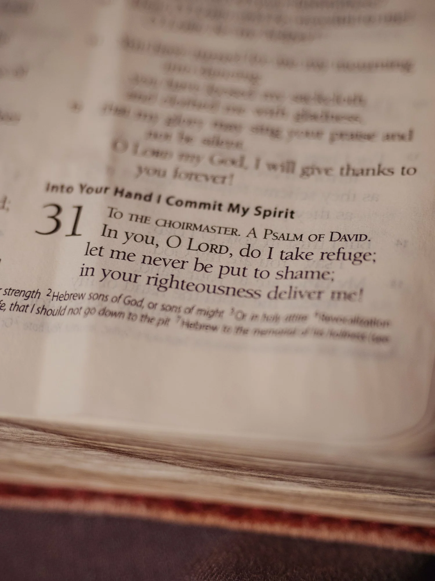 psalm-31 a-026.jpg