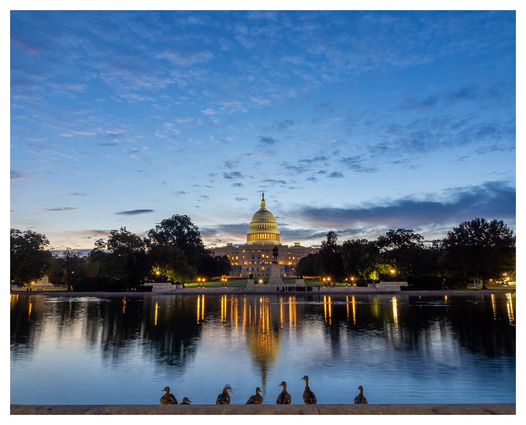 marathon-blog-post-20250926-Blue hour with ducks at the Capitol.jpg