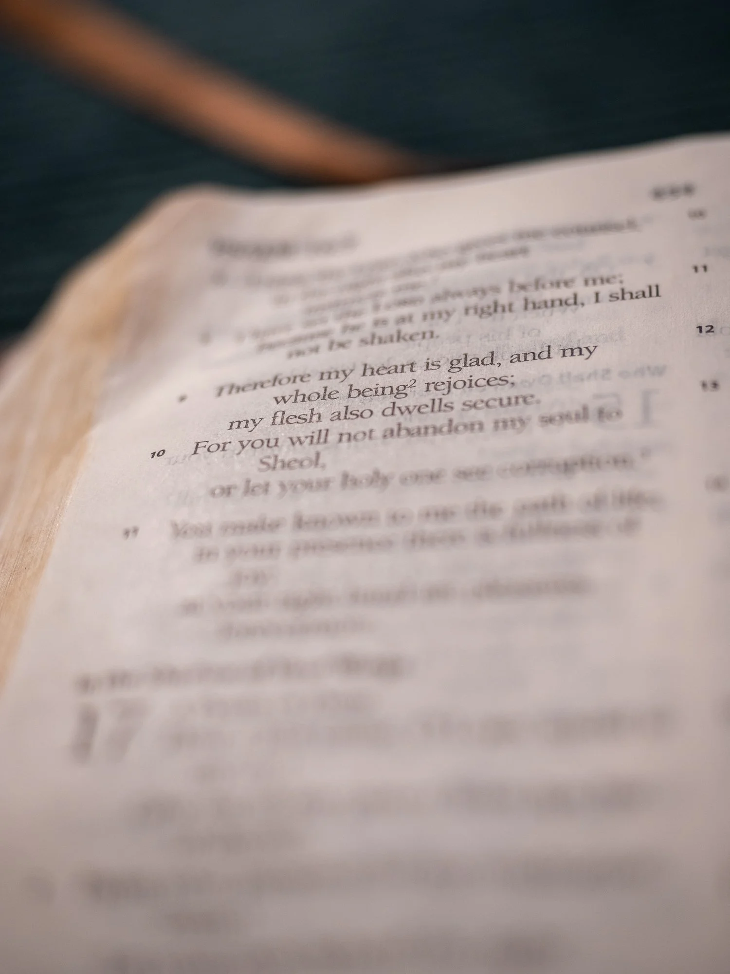 psalm-16 b-071.jpg