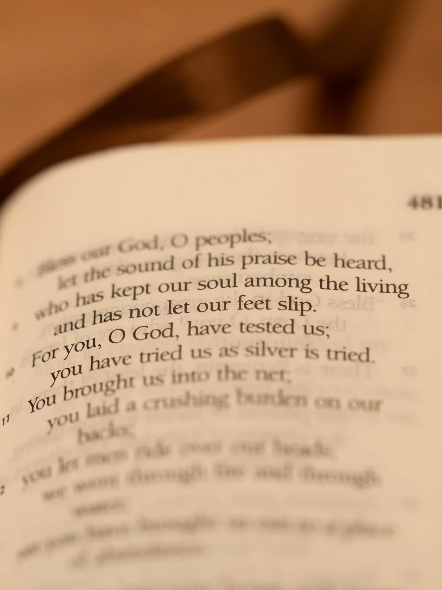 psalm-66-2.jpg