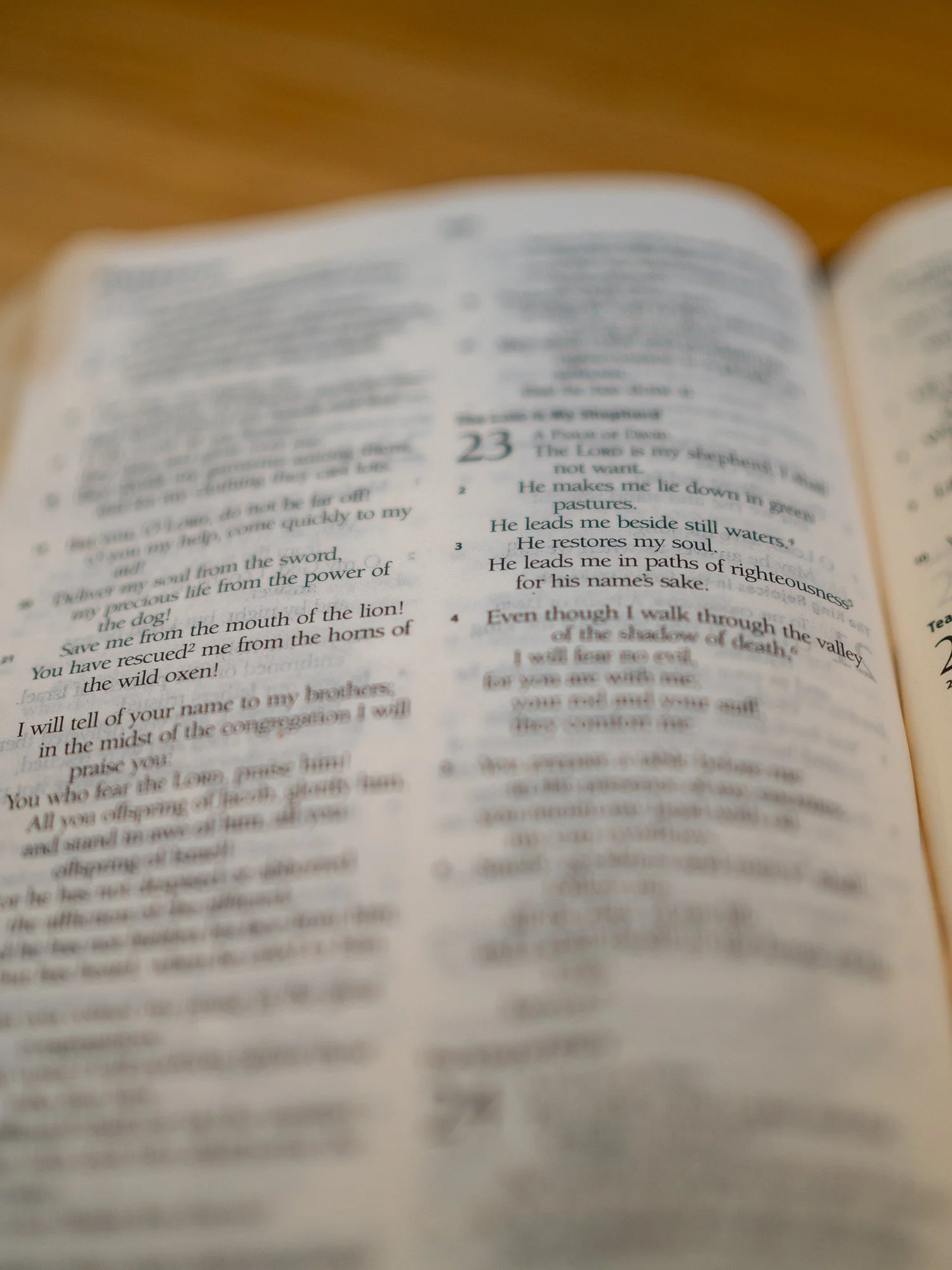 psalm-23 b-051.jpg
