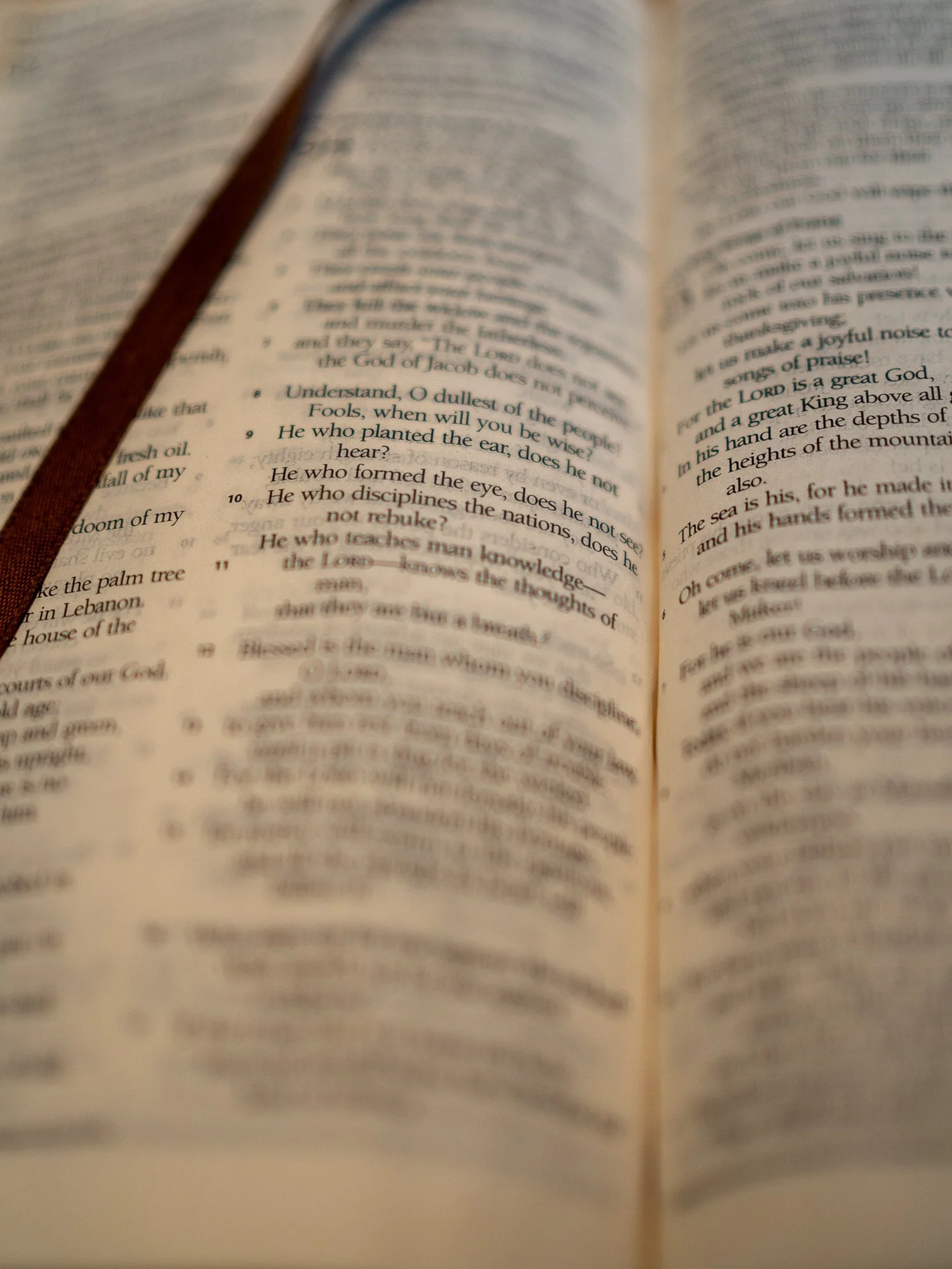 psalm-94-36.jpg