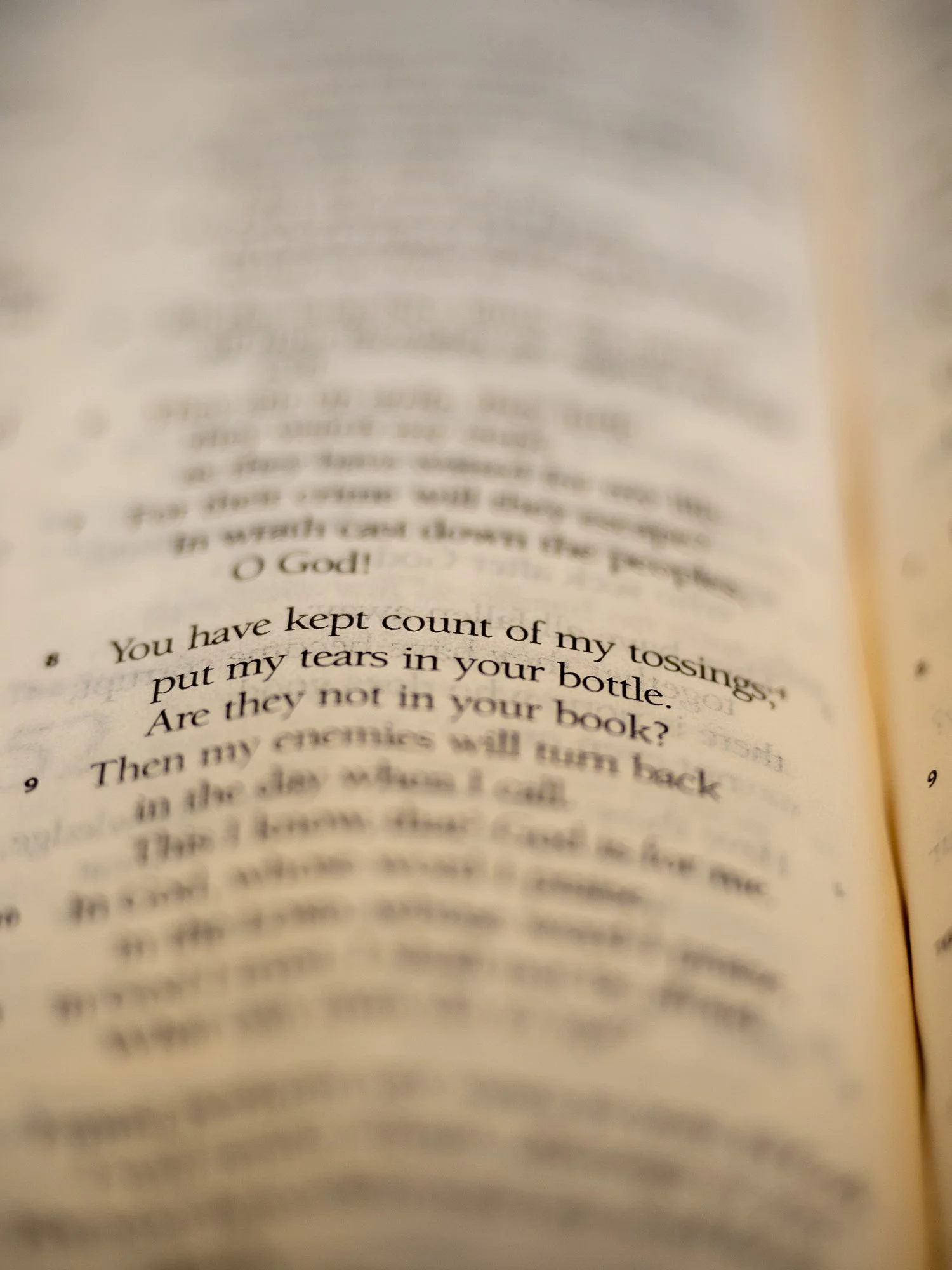 psalm-56-2.jpg