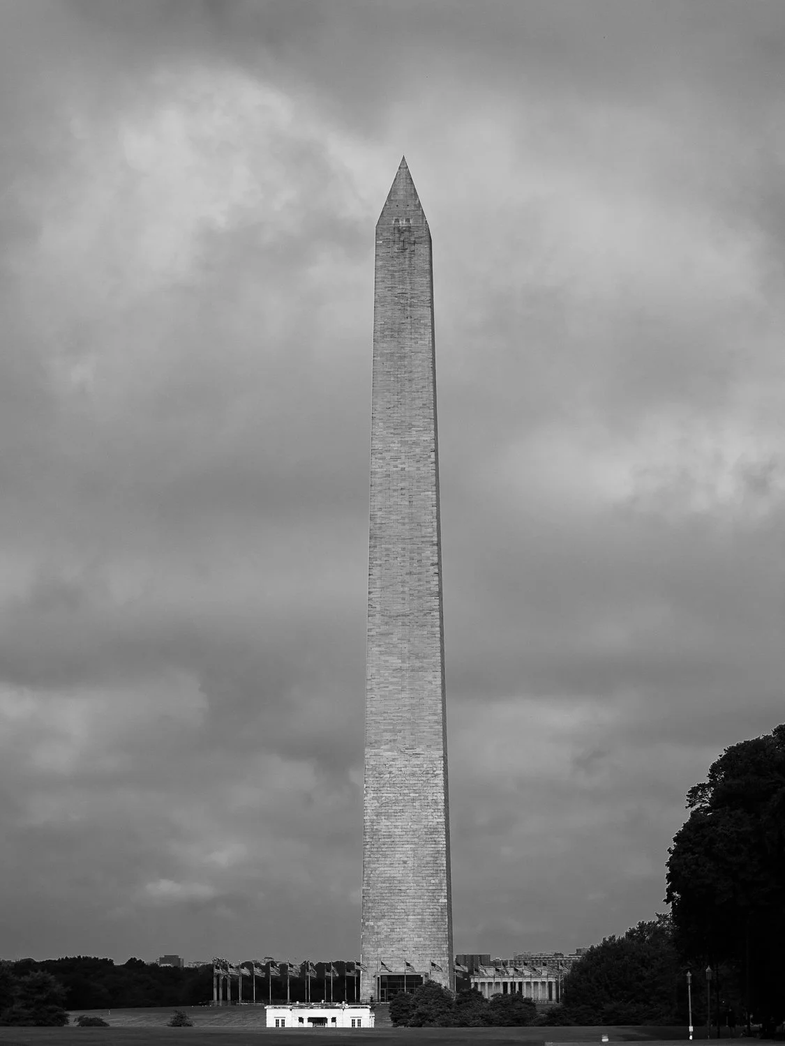 city-dc-023.jpg