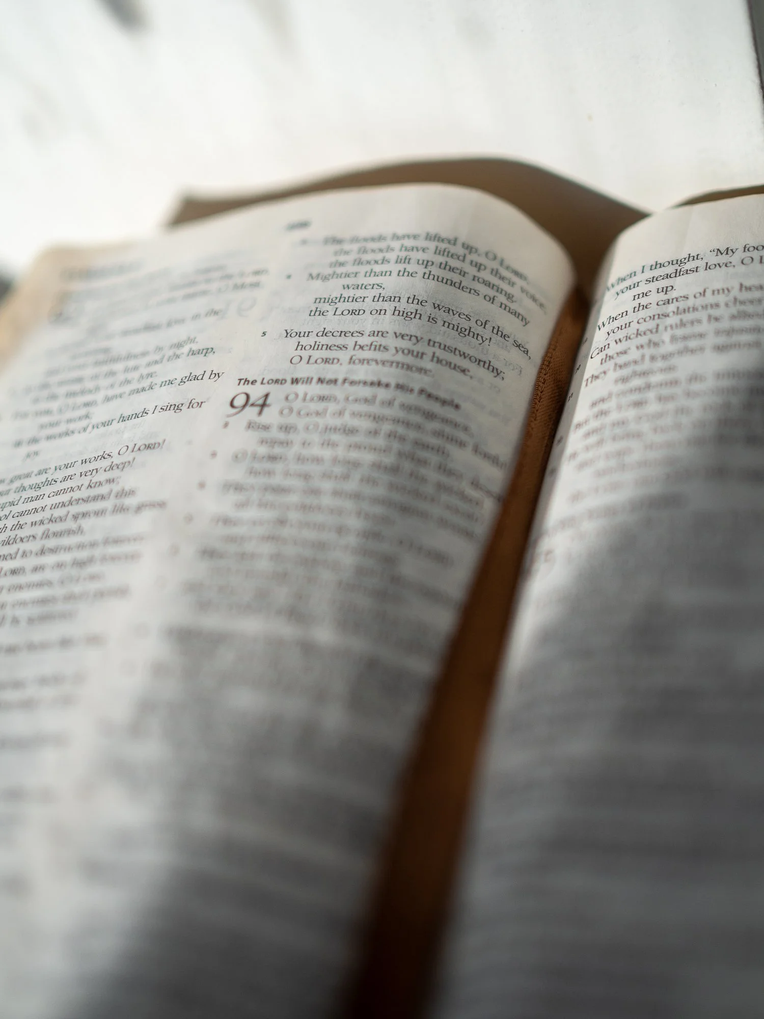 psalm-93-2.jpg