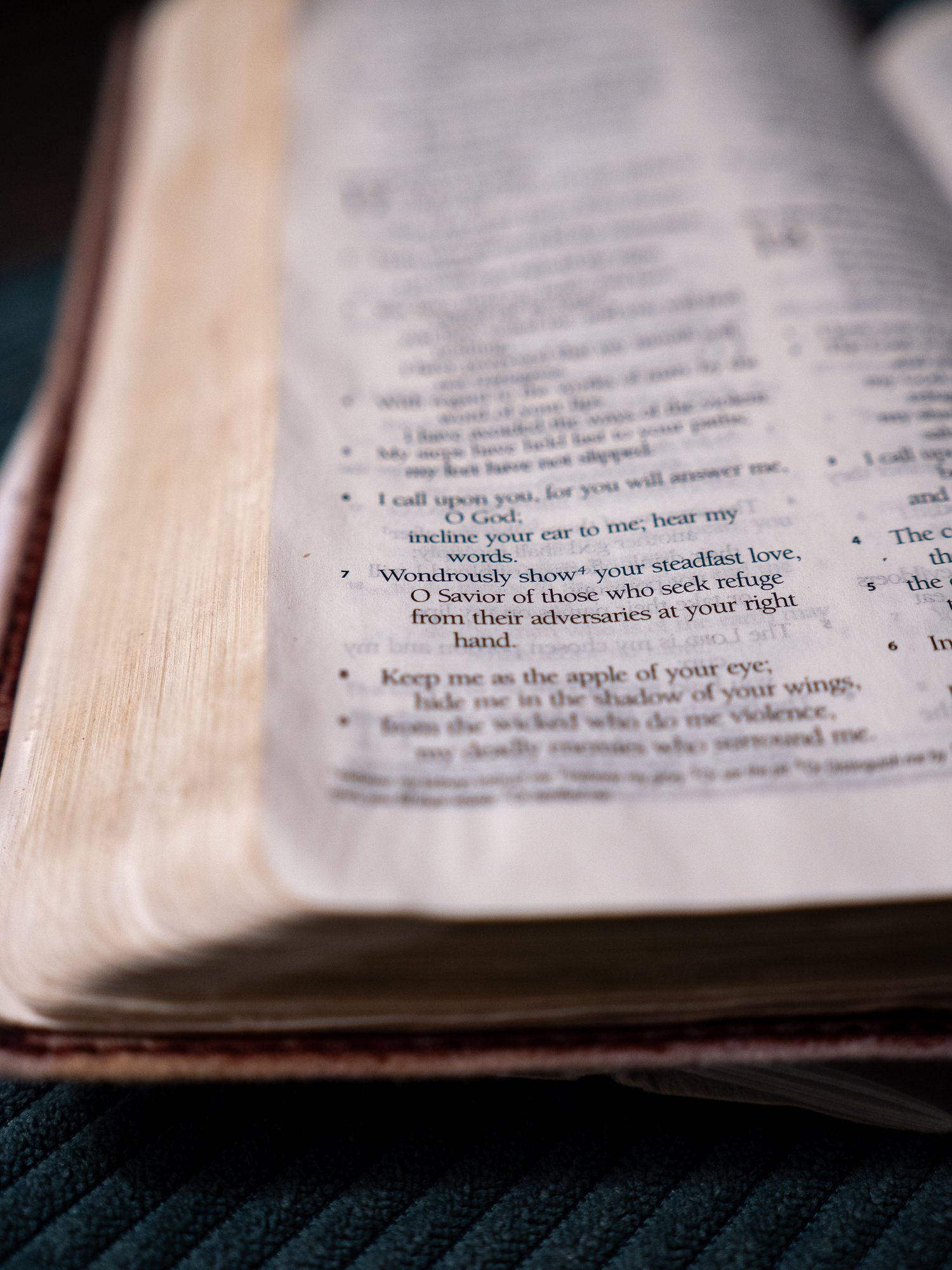 psalm-17 b-068.jpg
