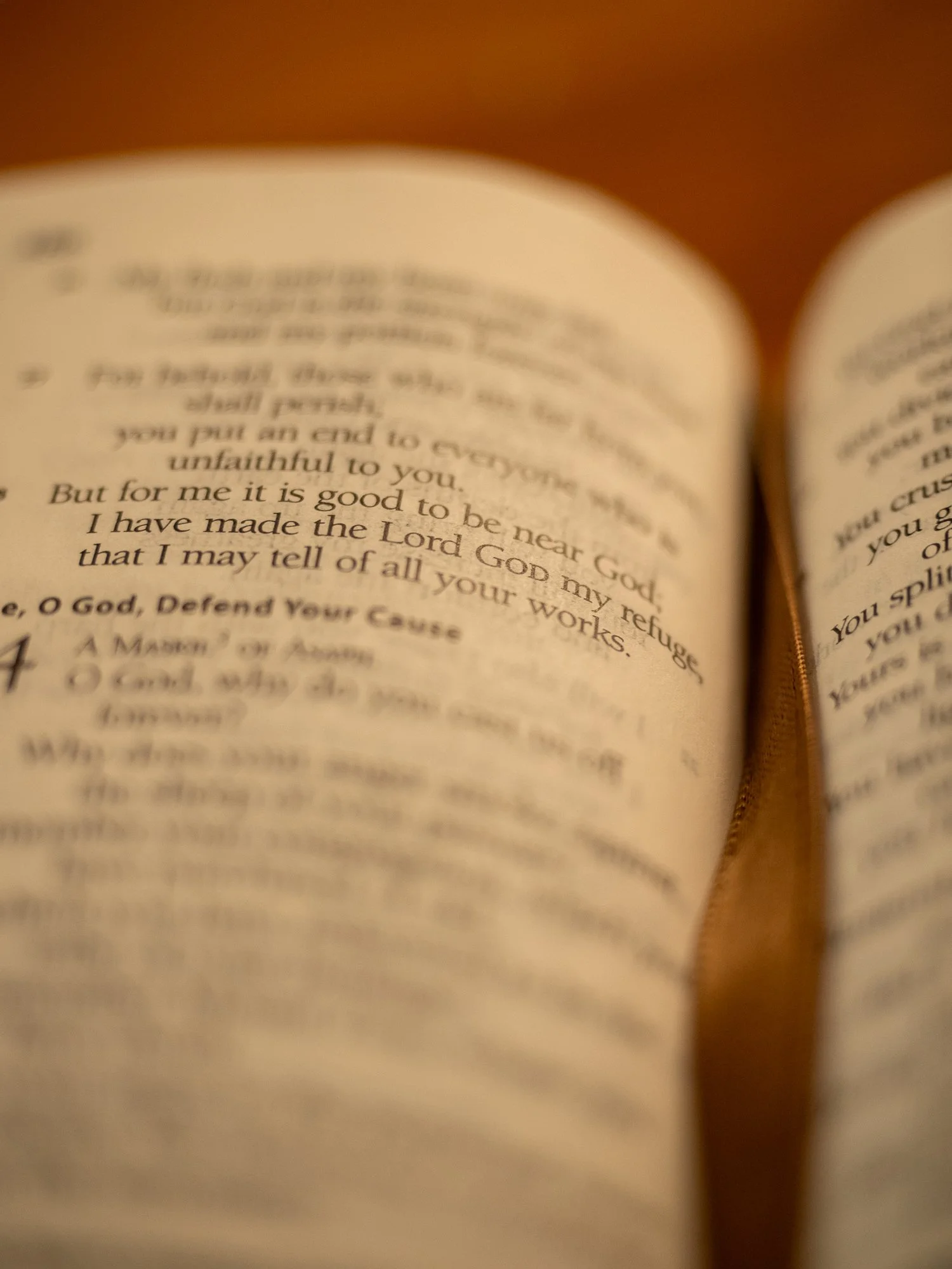 psalm-73-4.jpg