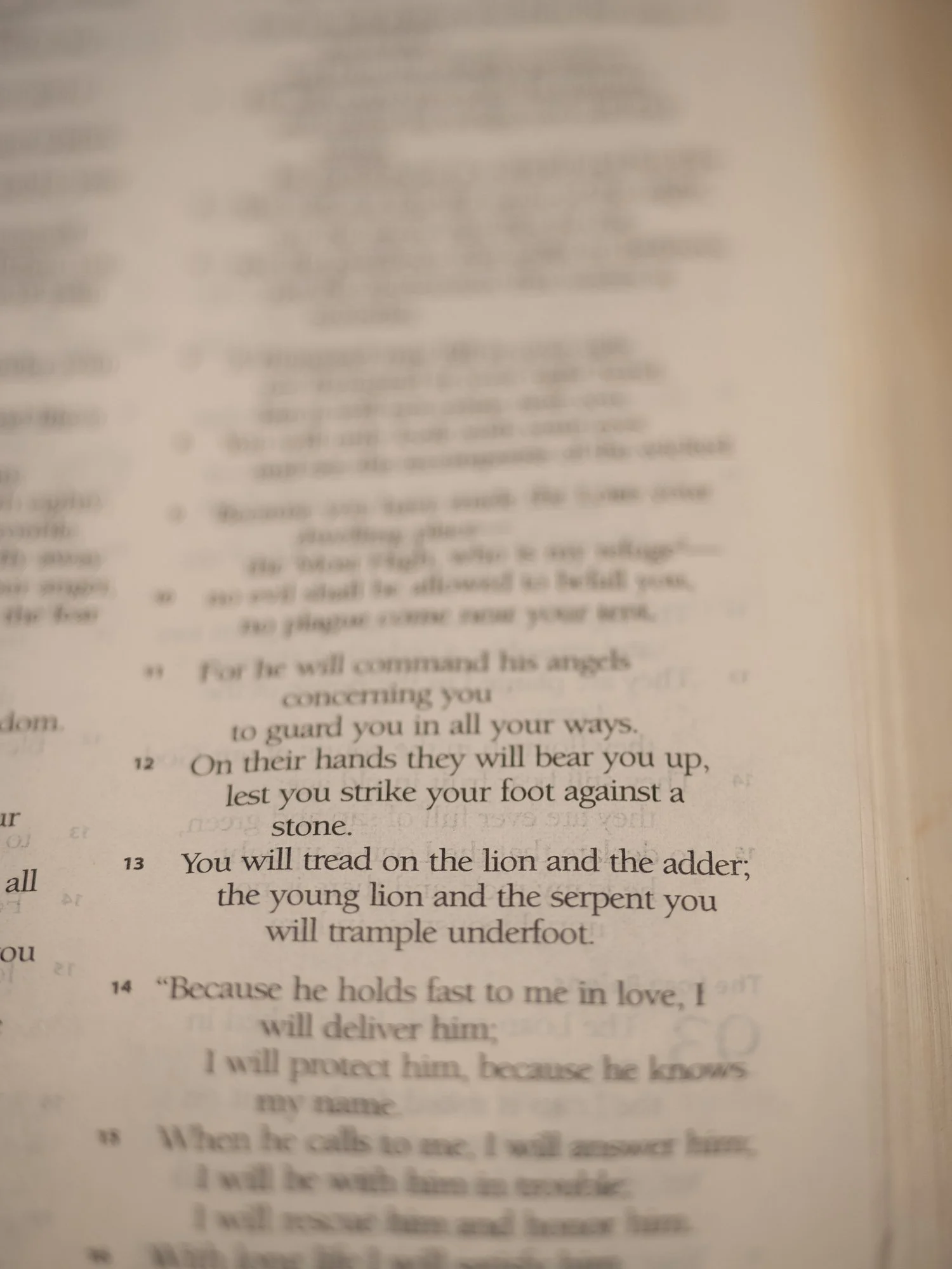 psalm-91-1.jpg