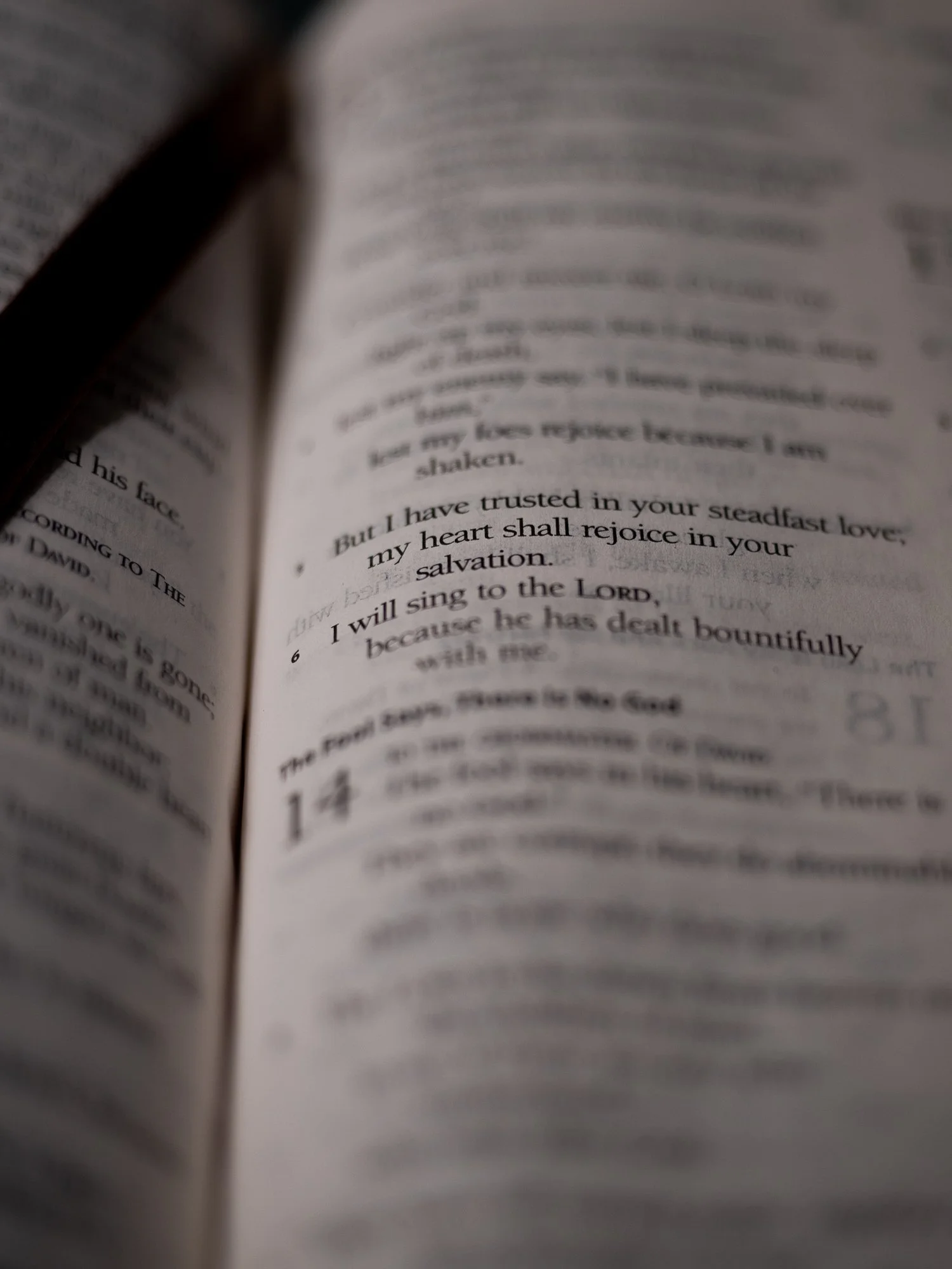 psalm-13 b-080.jpg