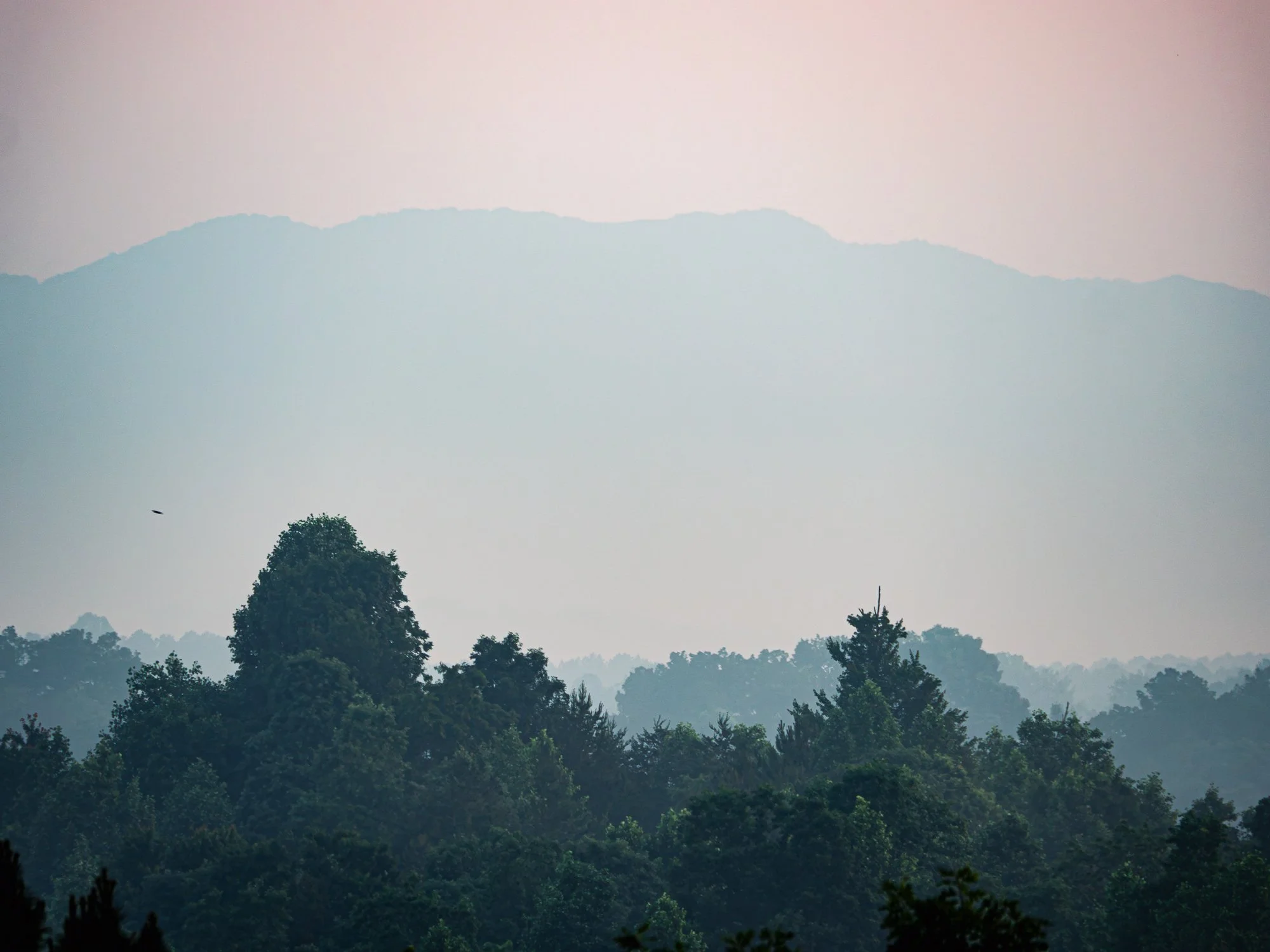 Misty sunset, Blue Ridge GA