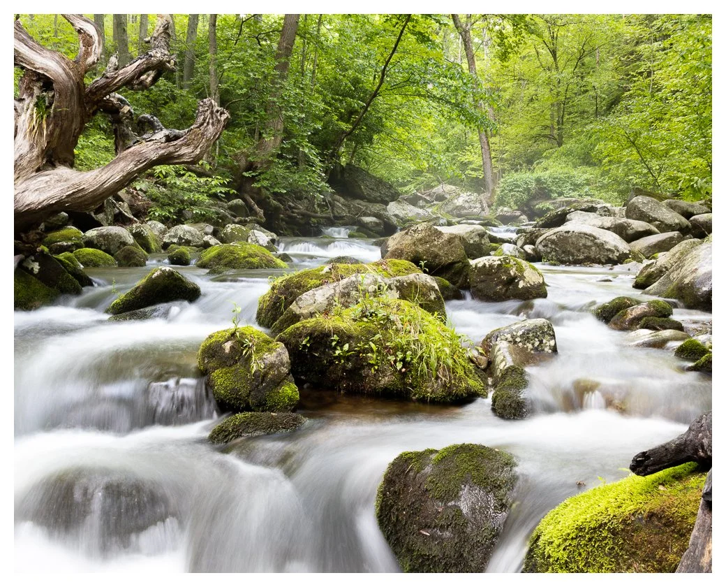 Hughes River in Spring.jpg