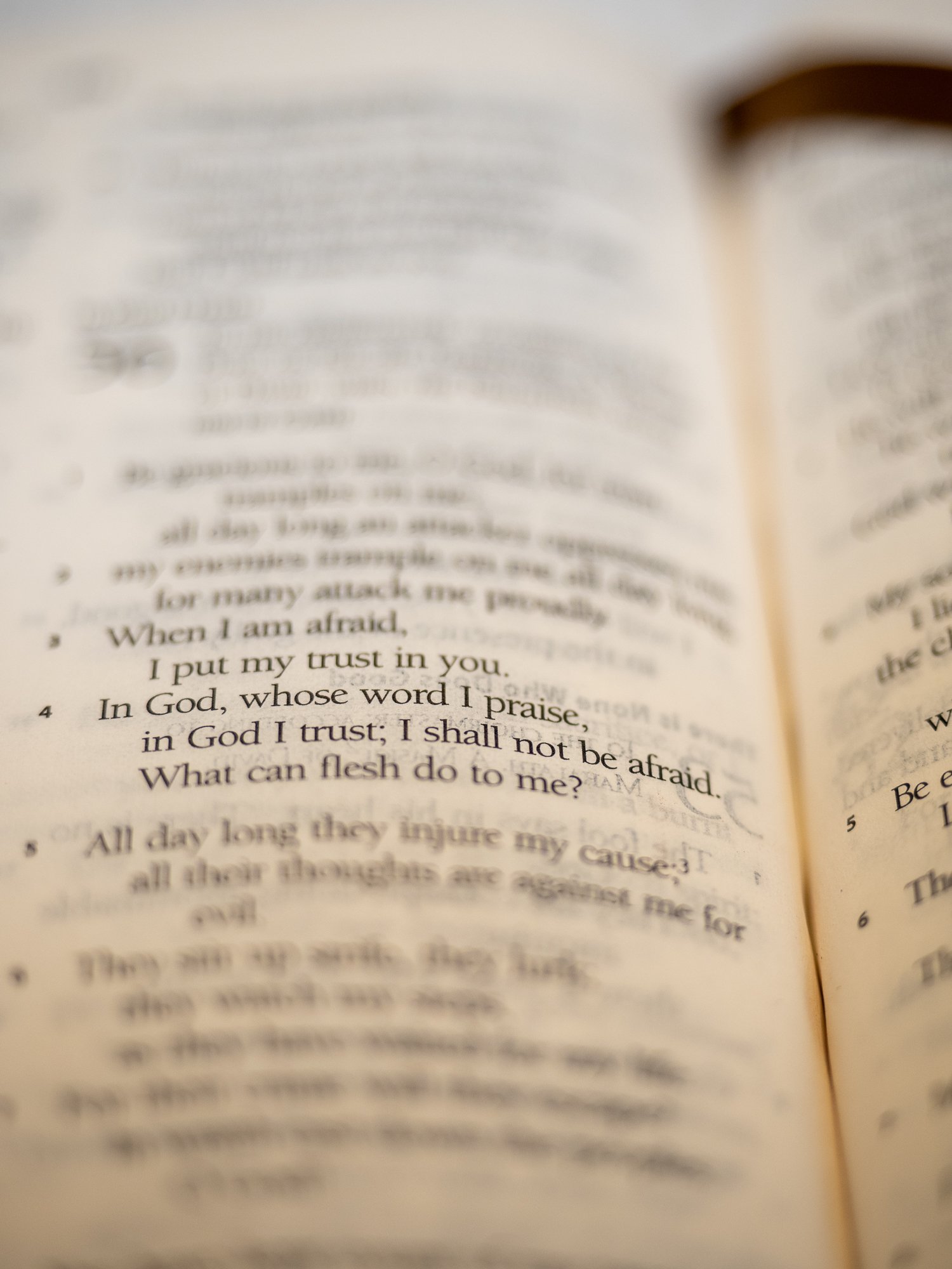 psalm-56-3.jpg