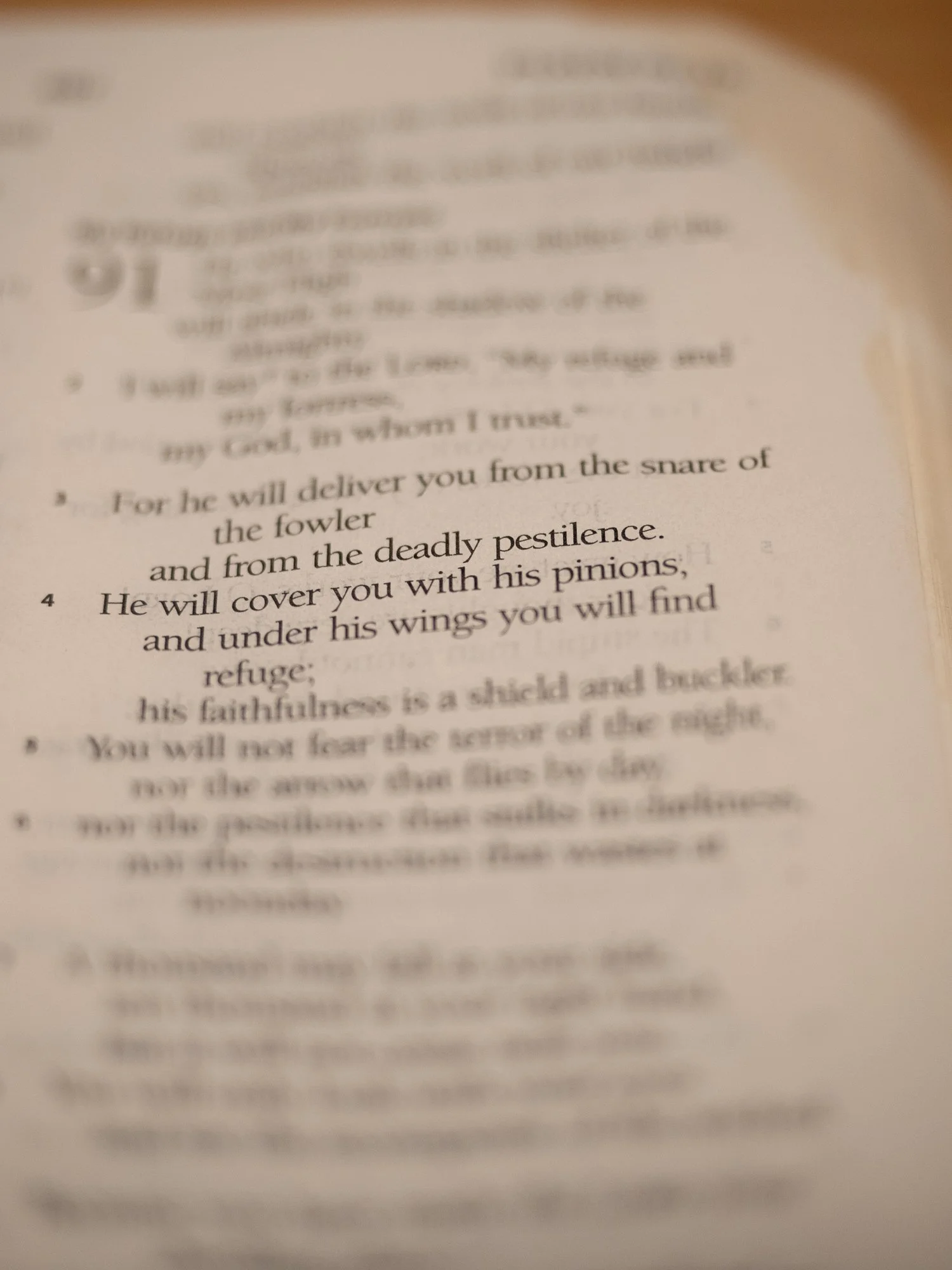 psalm-91-3.jpg