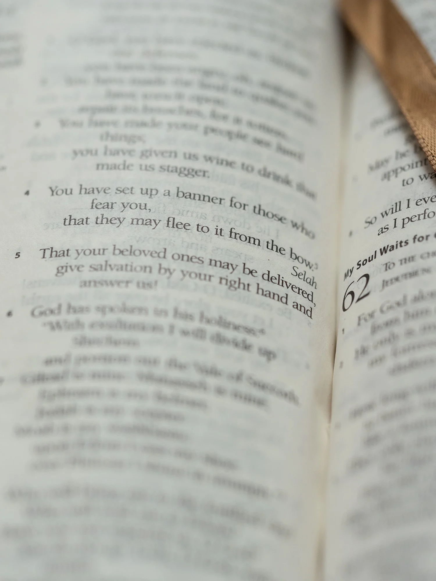 psalm-60-2.jpg