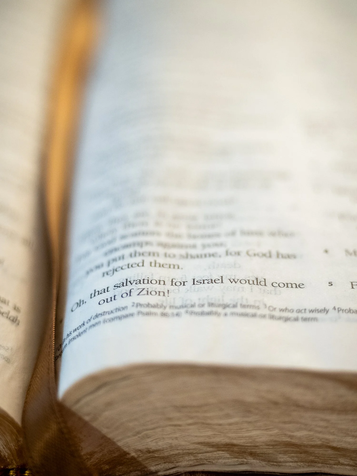 psalm-53-3.jpg