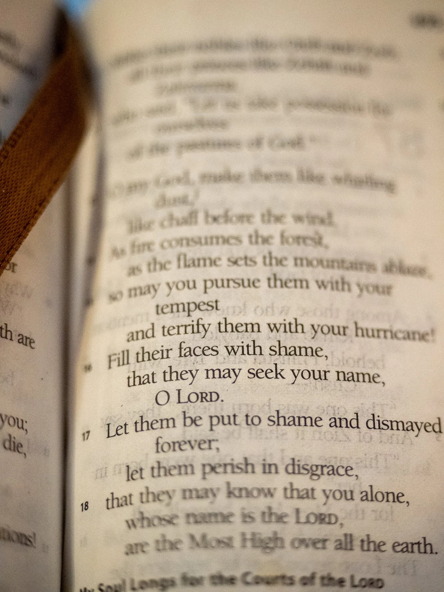 psalm-83-2.jpg