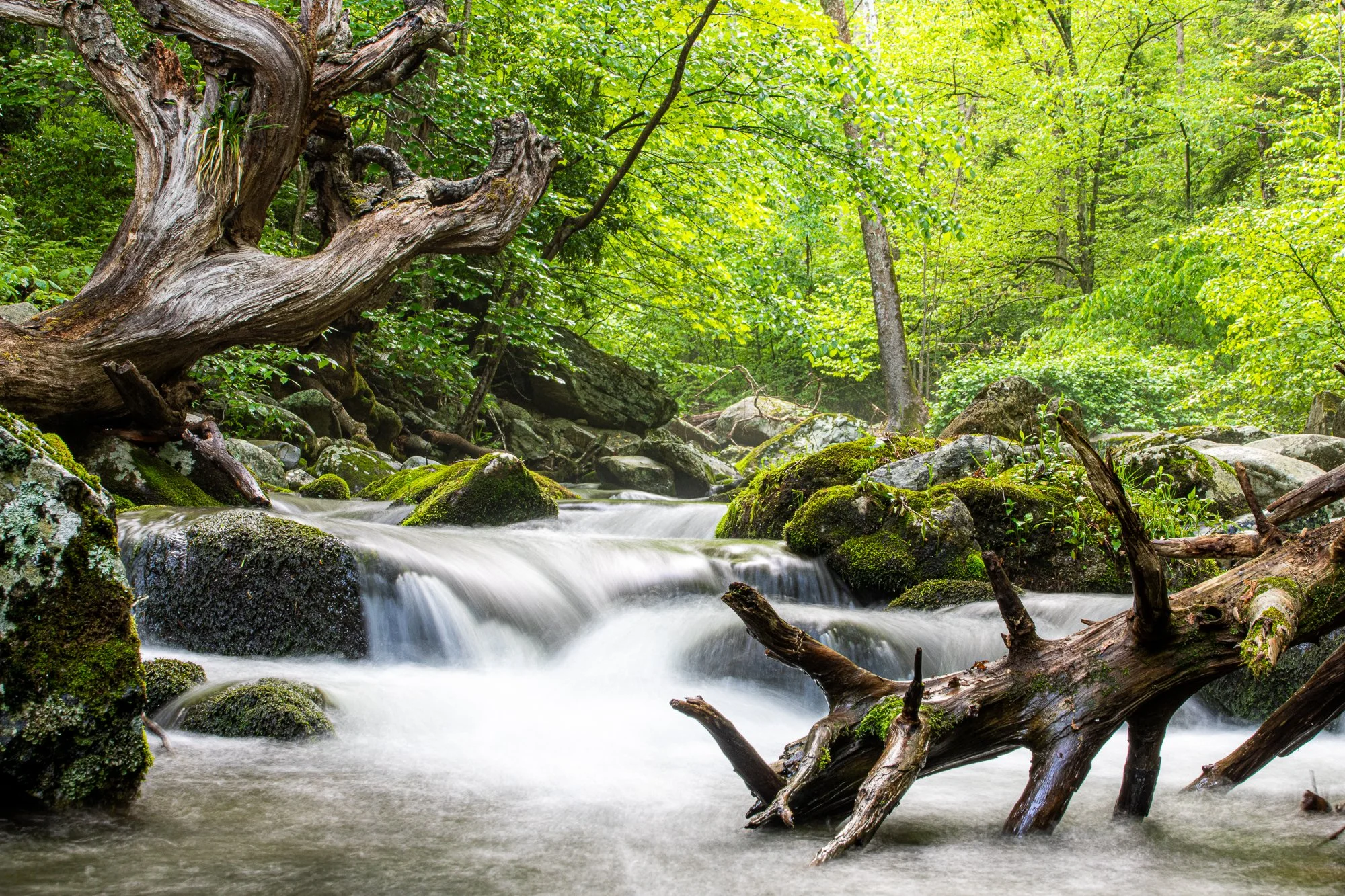 Nicholson hollow creek, Shenandoah Virginia